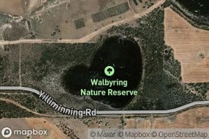 Walbyring Lake