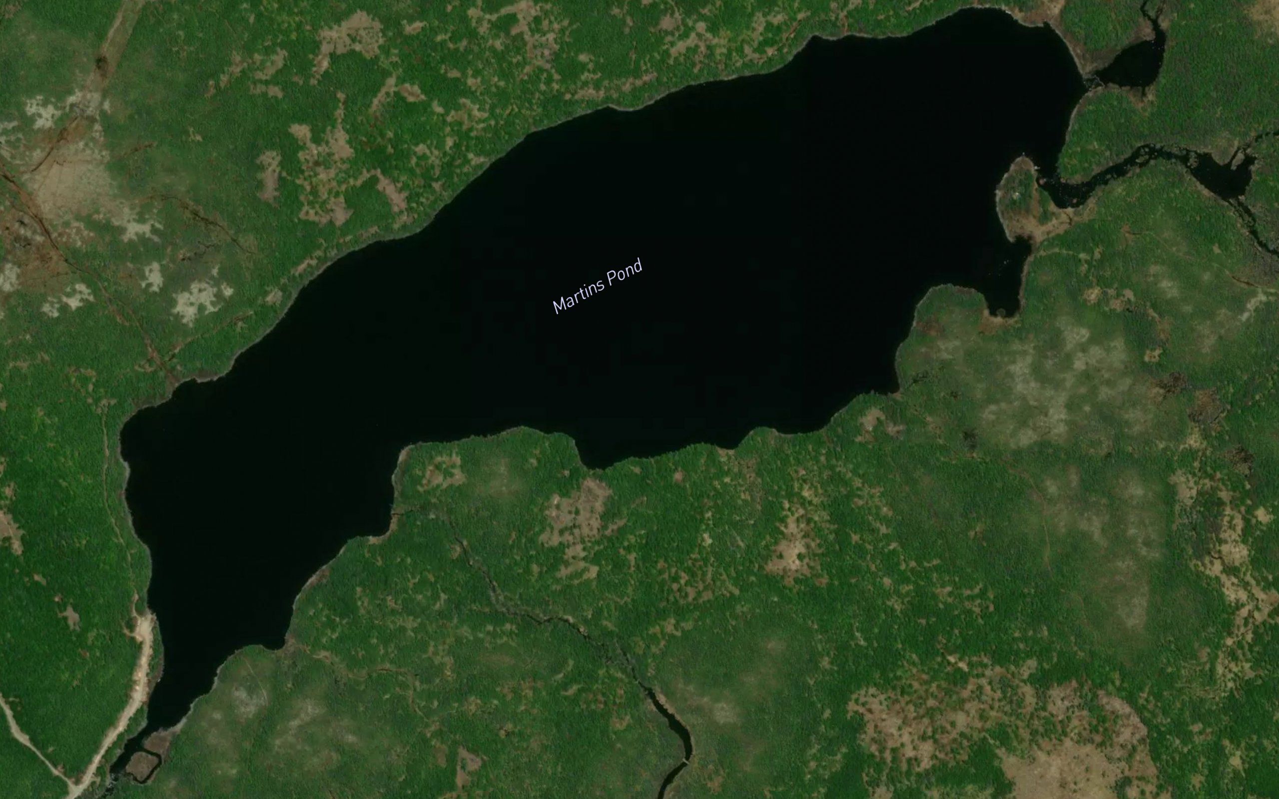 Martins Pond