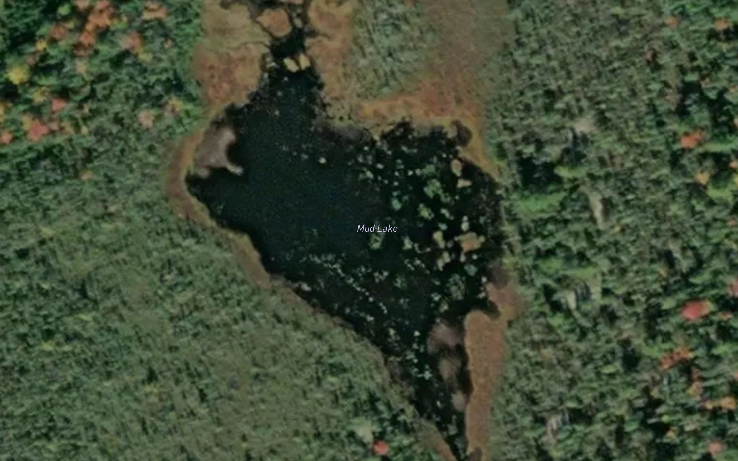Mud Lake