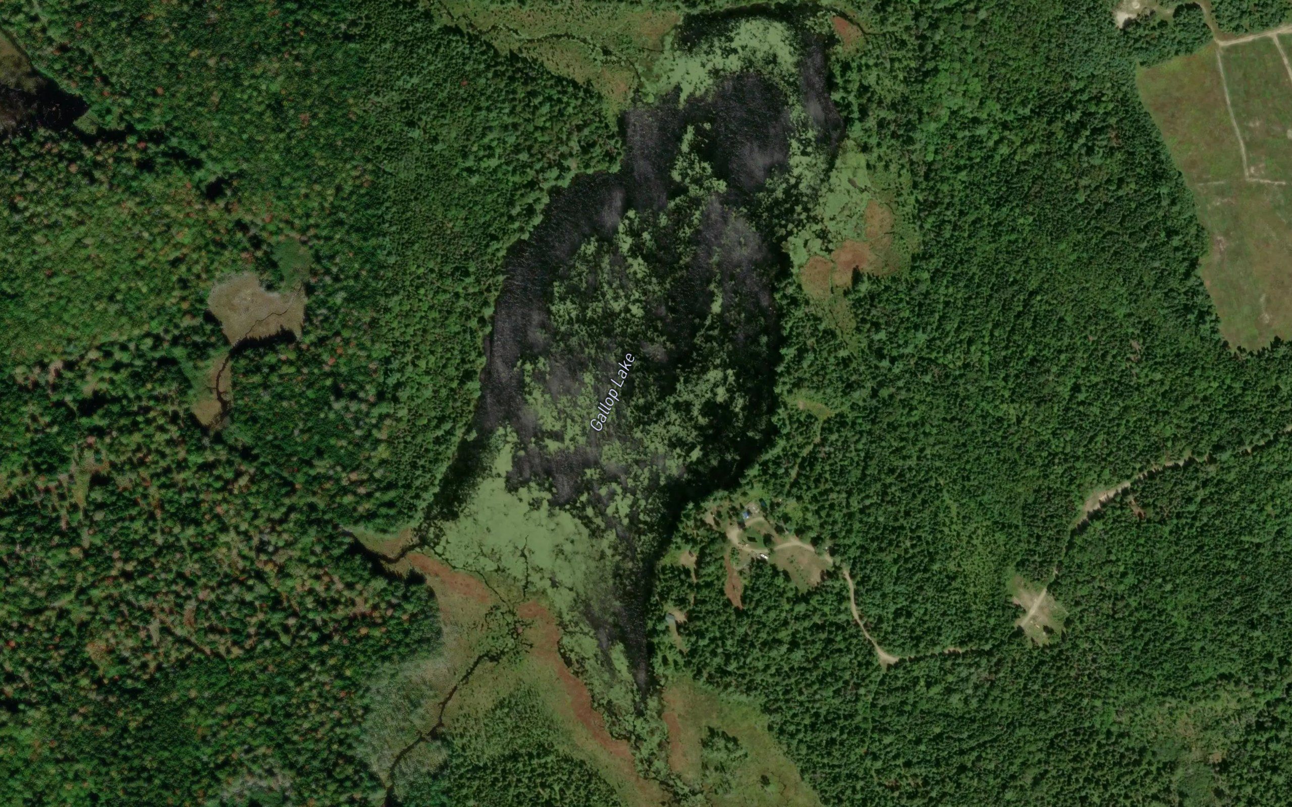 Gallop Lake