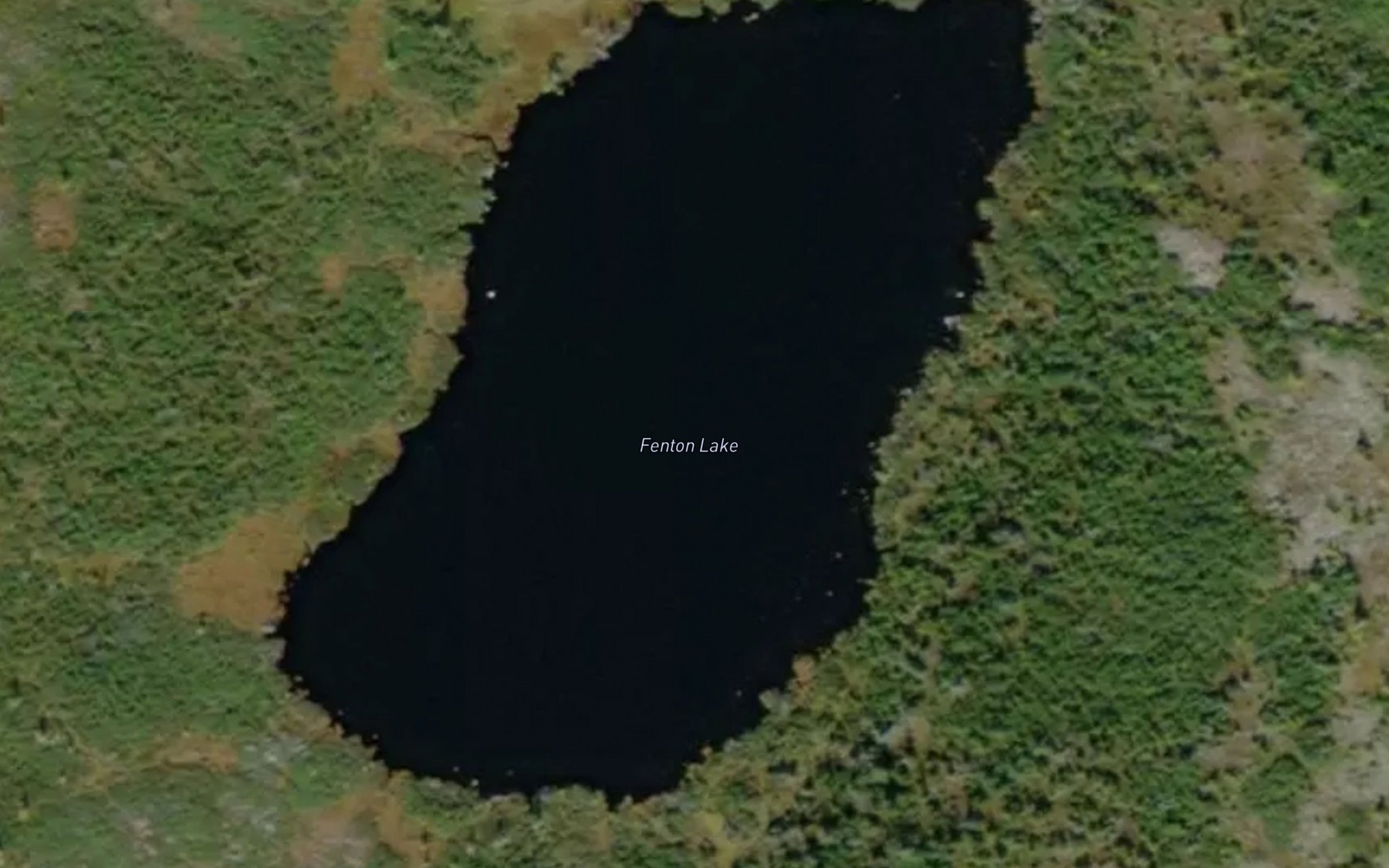 Satellite map of the Fenton Lake