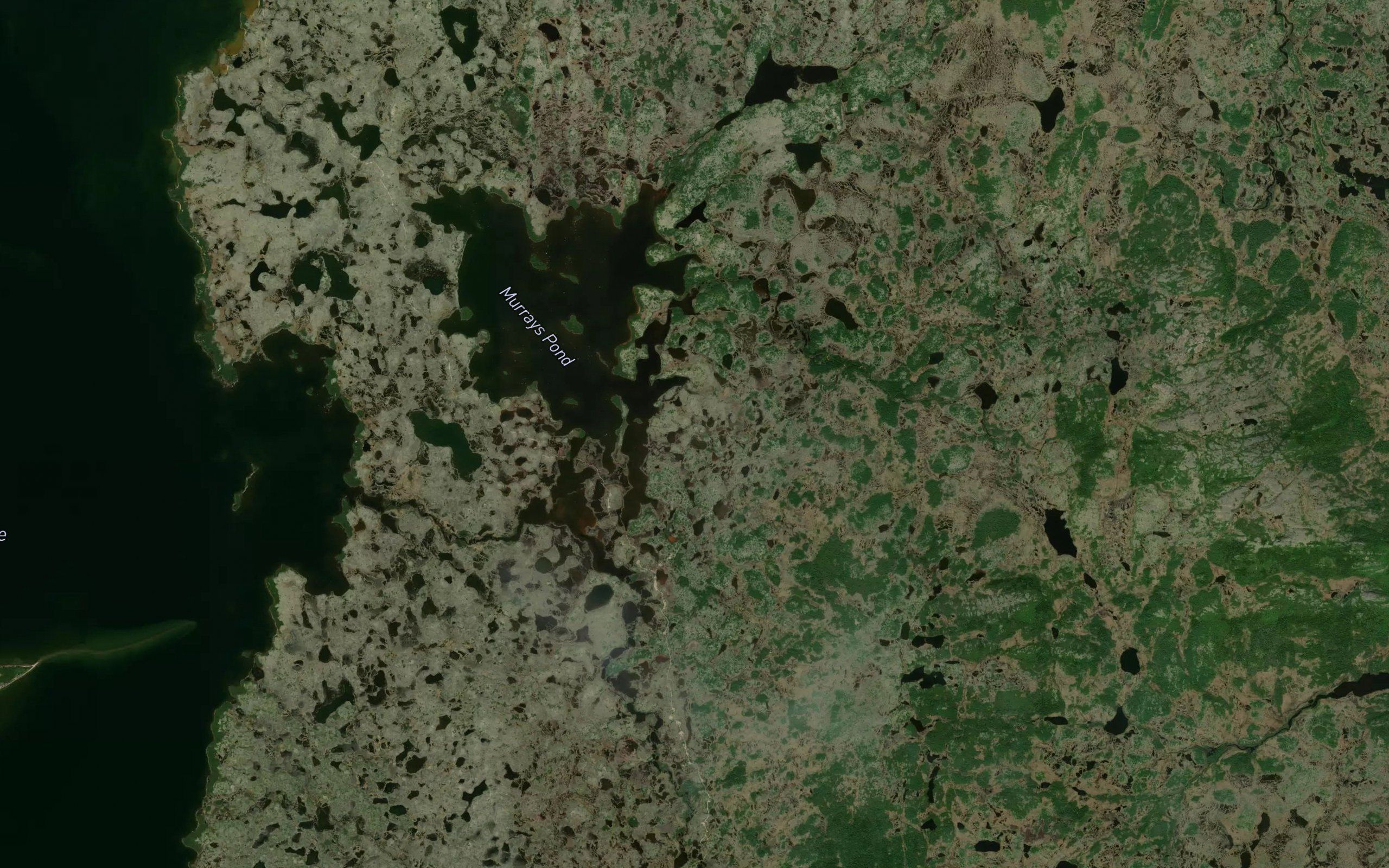 Murrays Pond