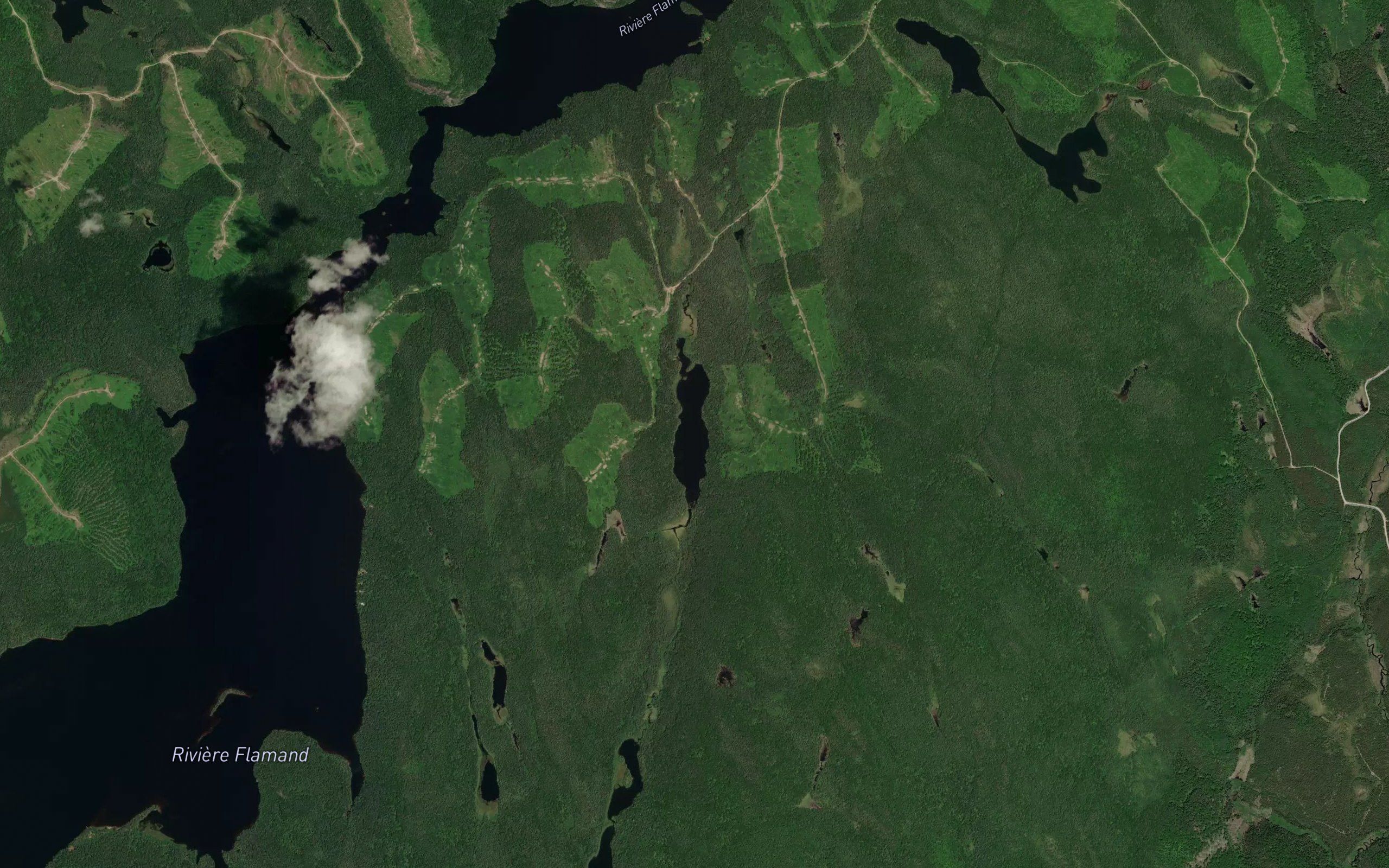 Lac Kojak