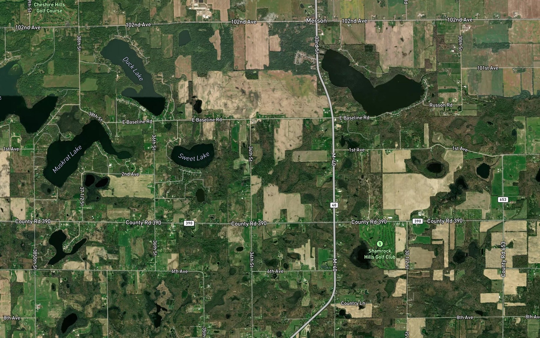 Satellite map of the Carpenter and Extension Drain