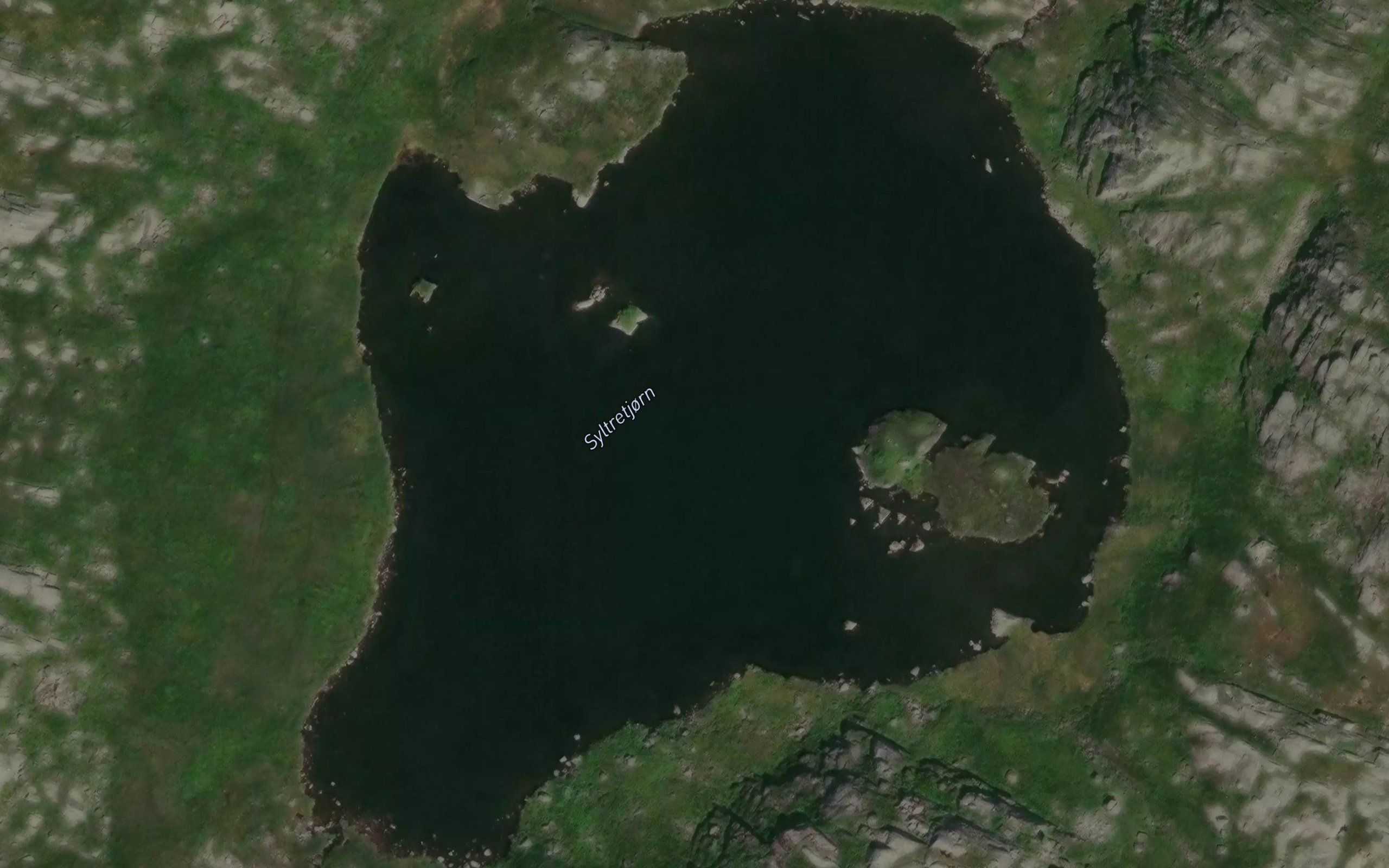 Syltretjorn