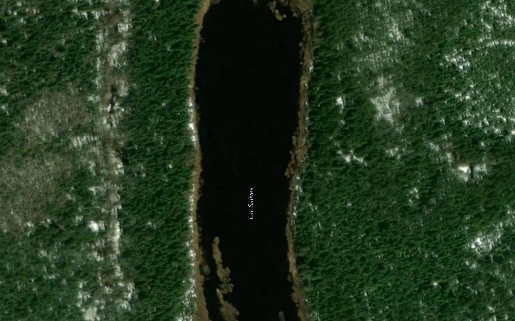 Satellite map of the Lac Salives