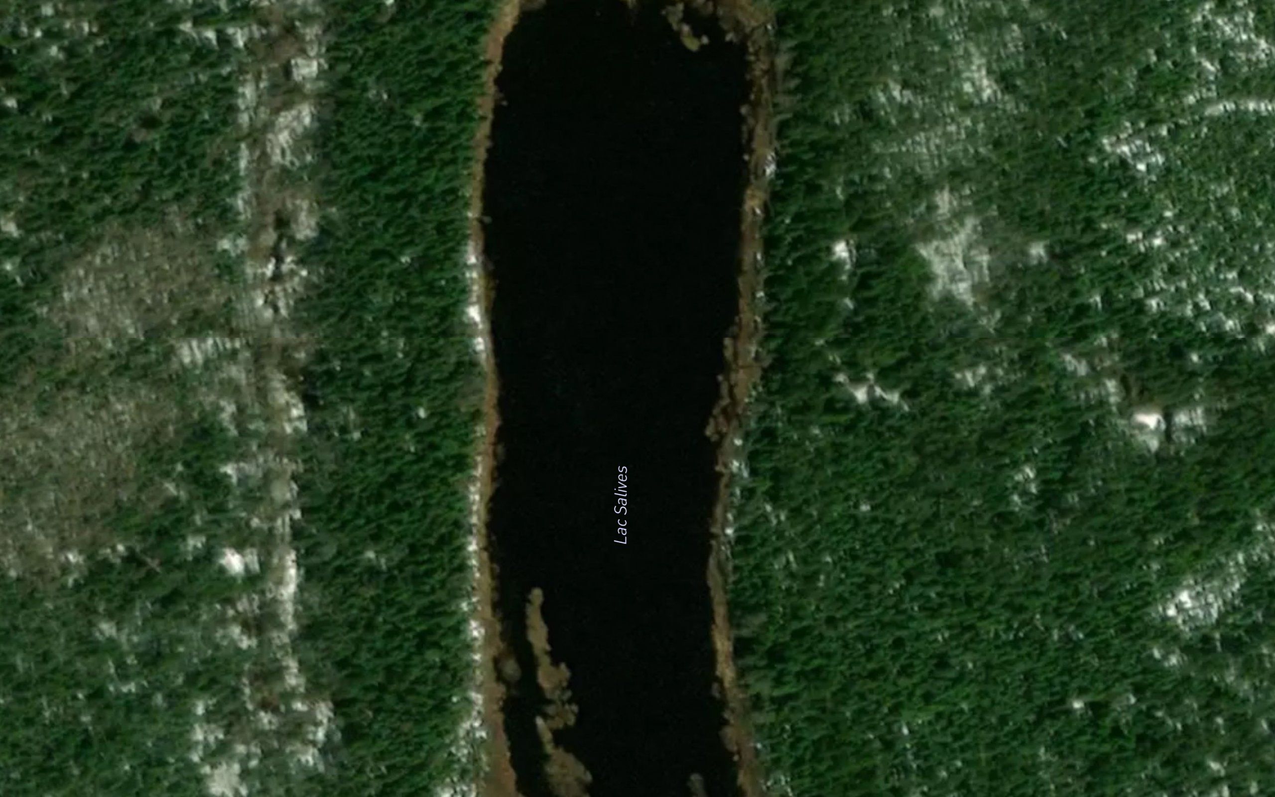 Lac Salives