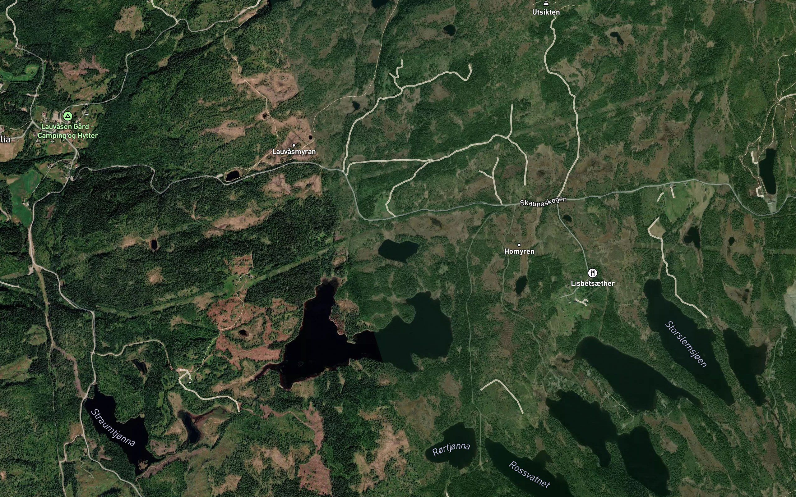 Skitjorna