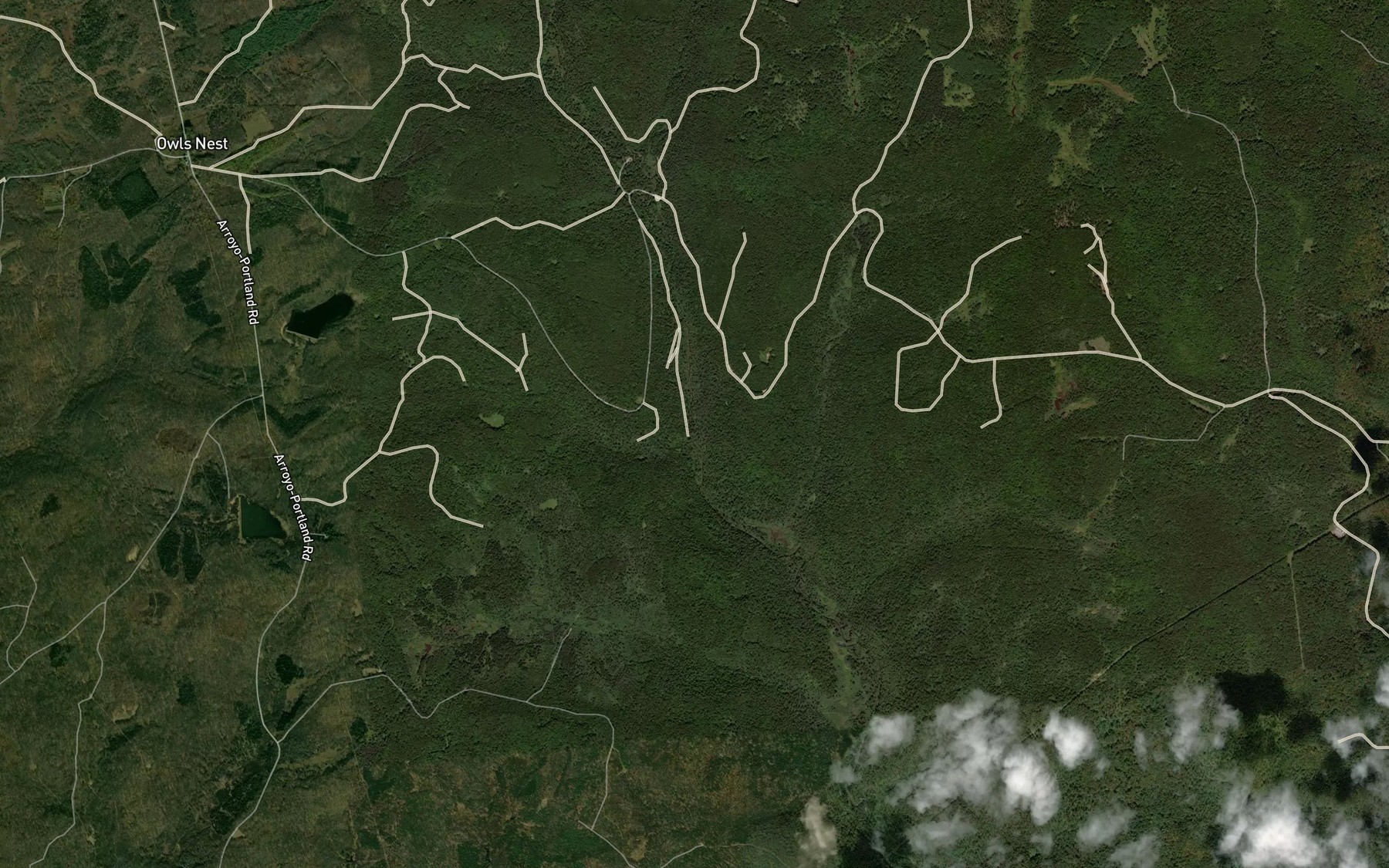 Satellite map of the Italian Shanty Run