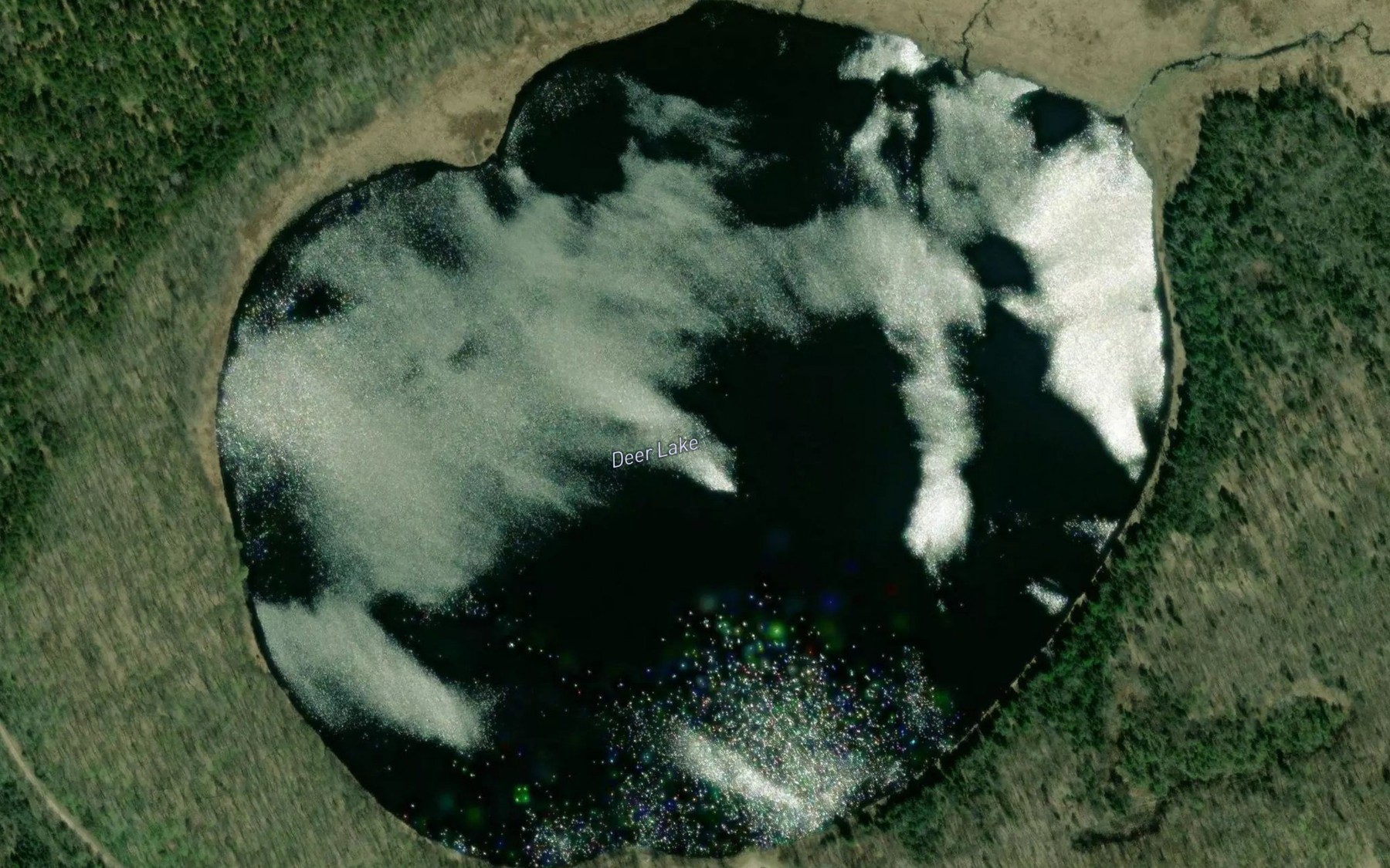 Satellite map of the Deer Lake