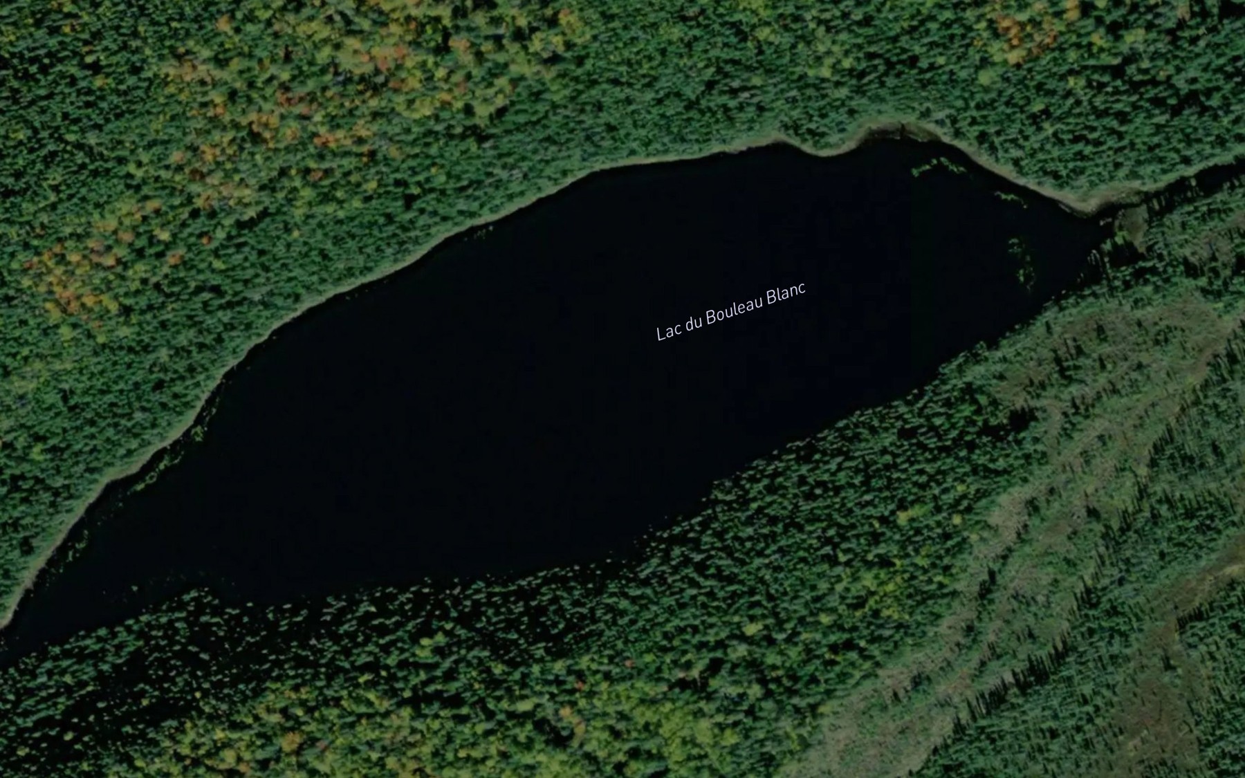 Satellite map of the Lac du Bouleau Blanc