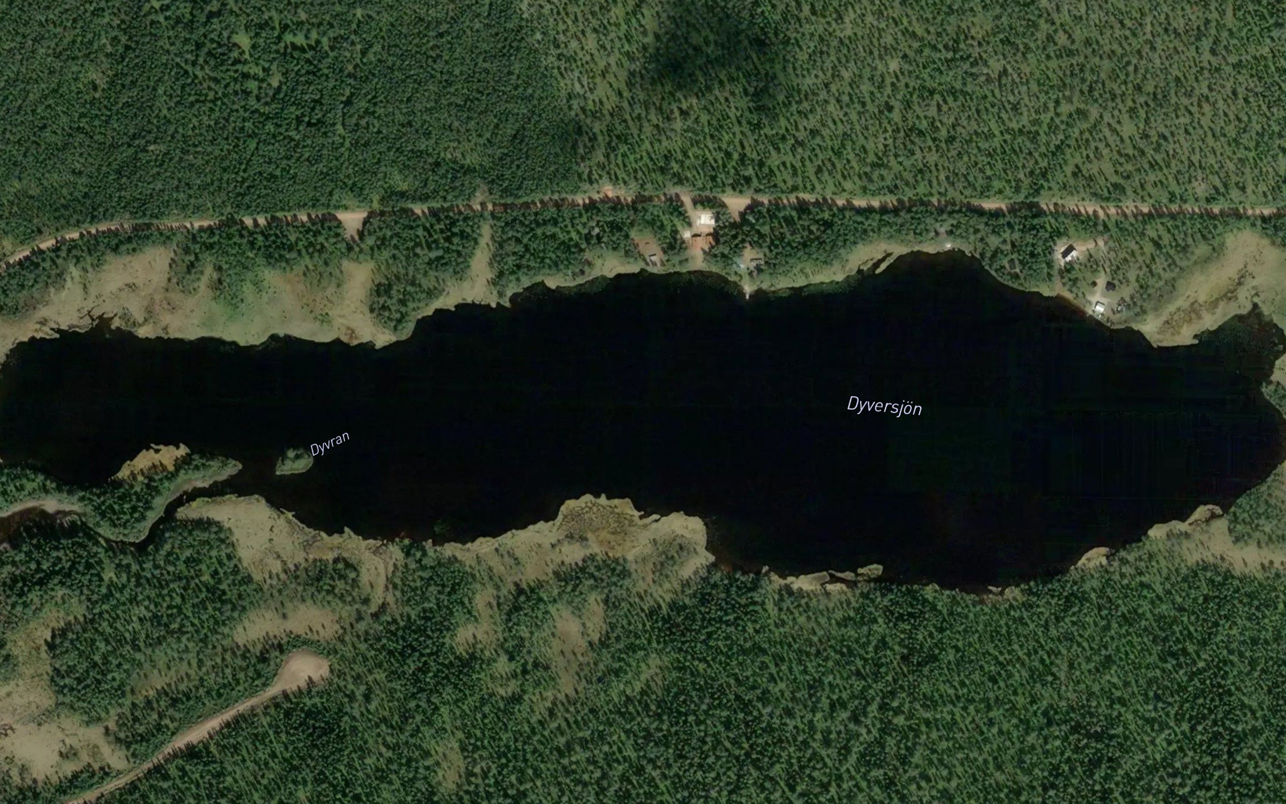 Dyvran
