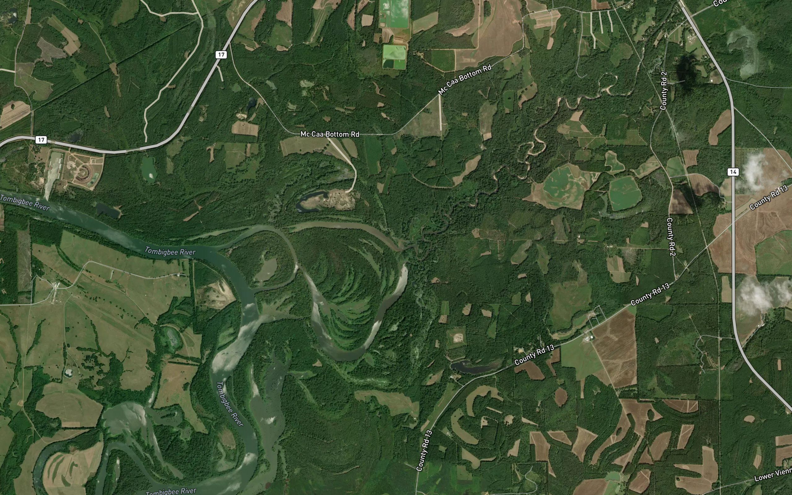 Blubber Creek