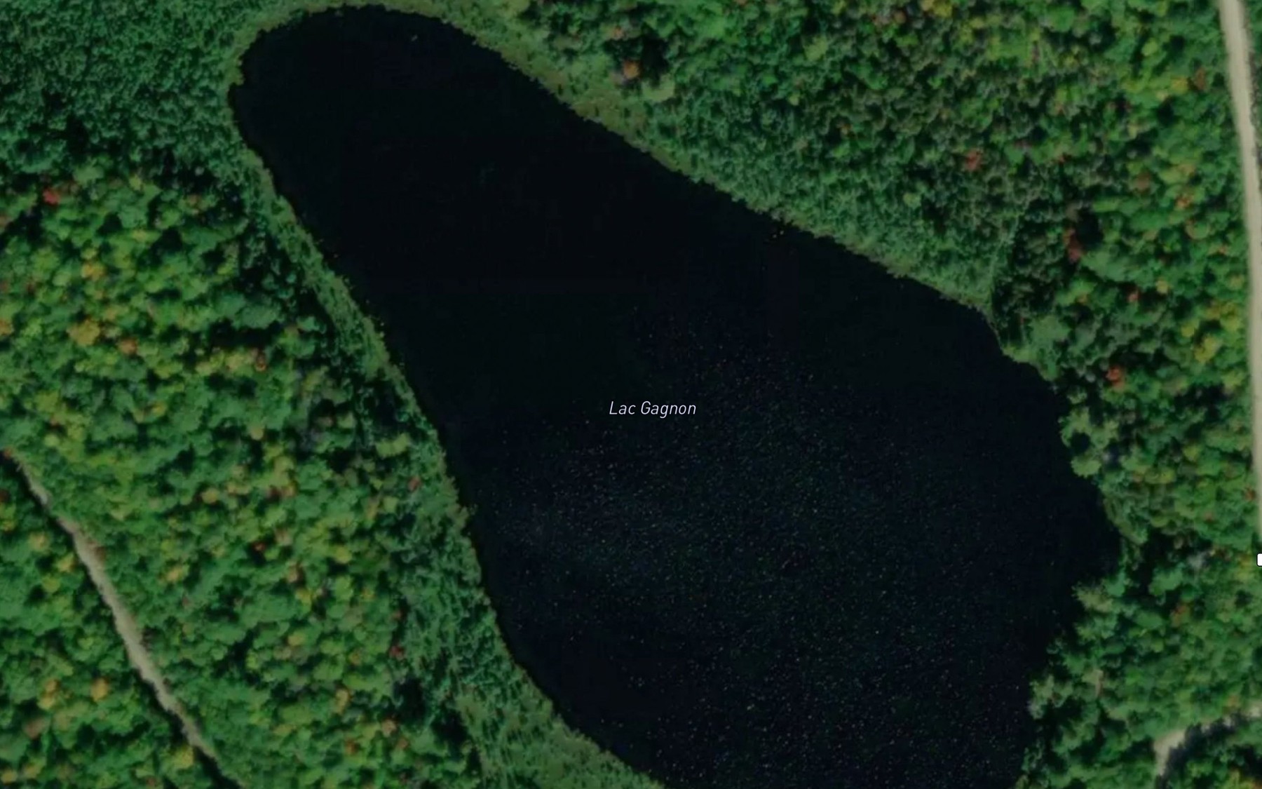 Satellite map of the Lac Gagnon