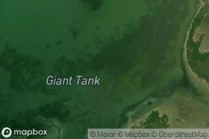 Giants Tank