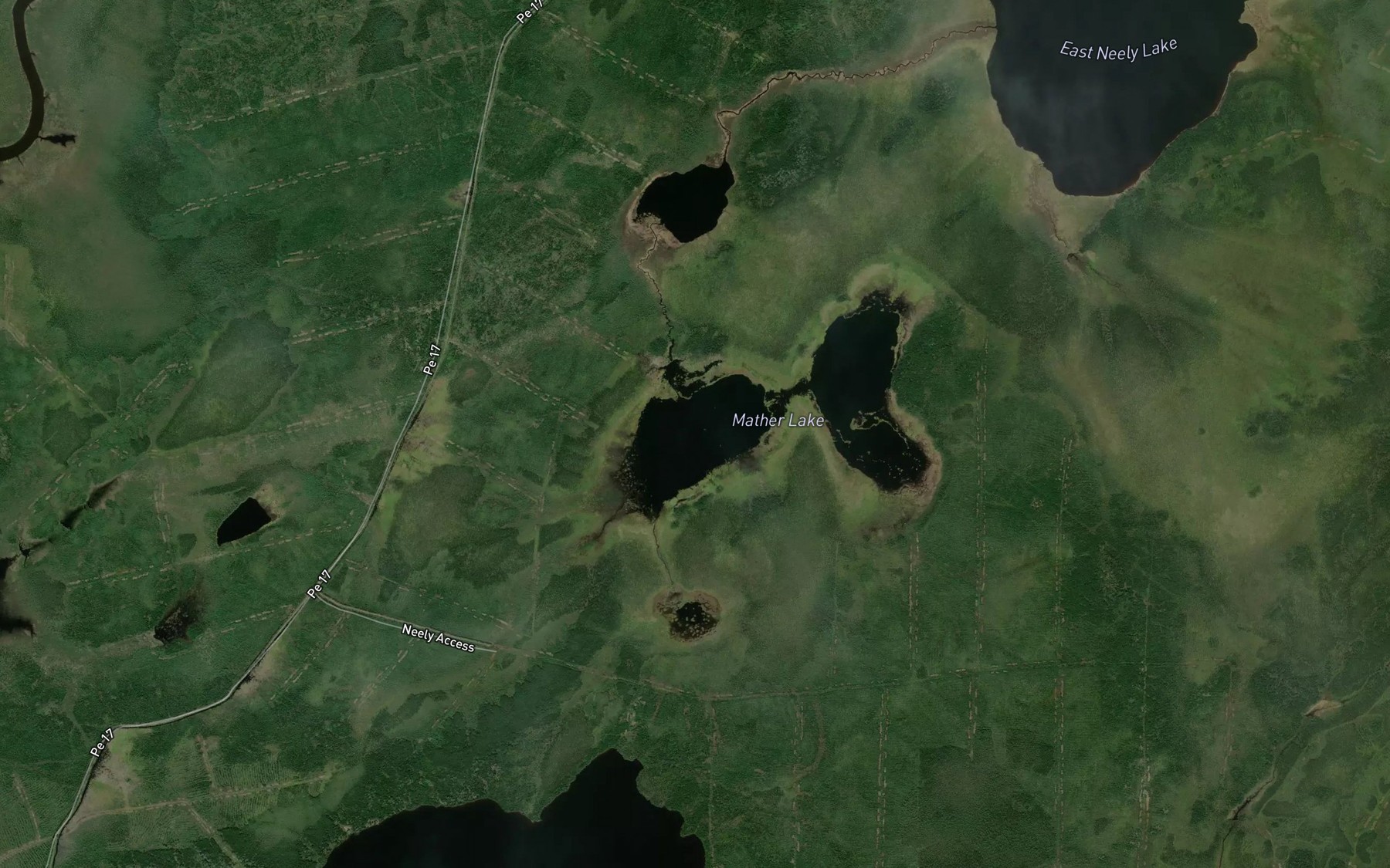 Satellite map of the Neely Lake