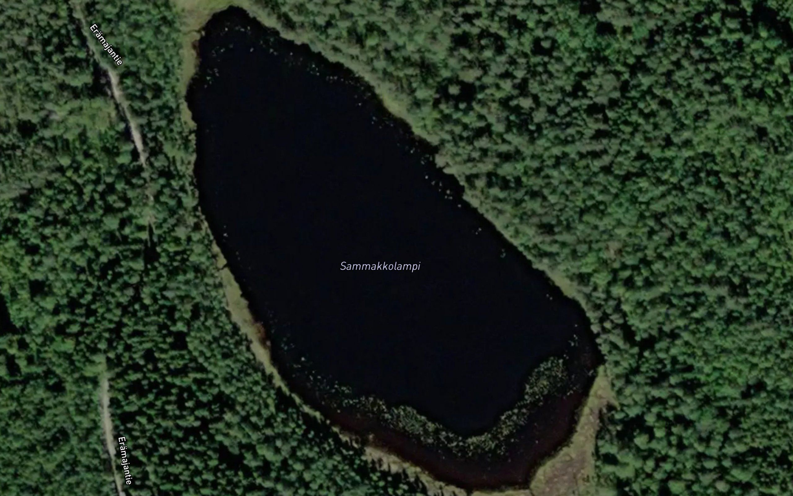 Sammakkolampi