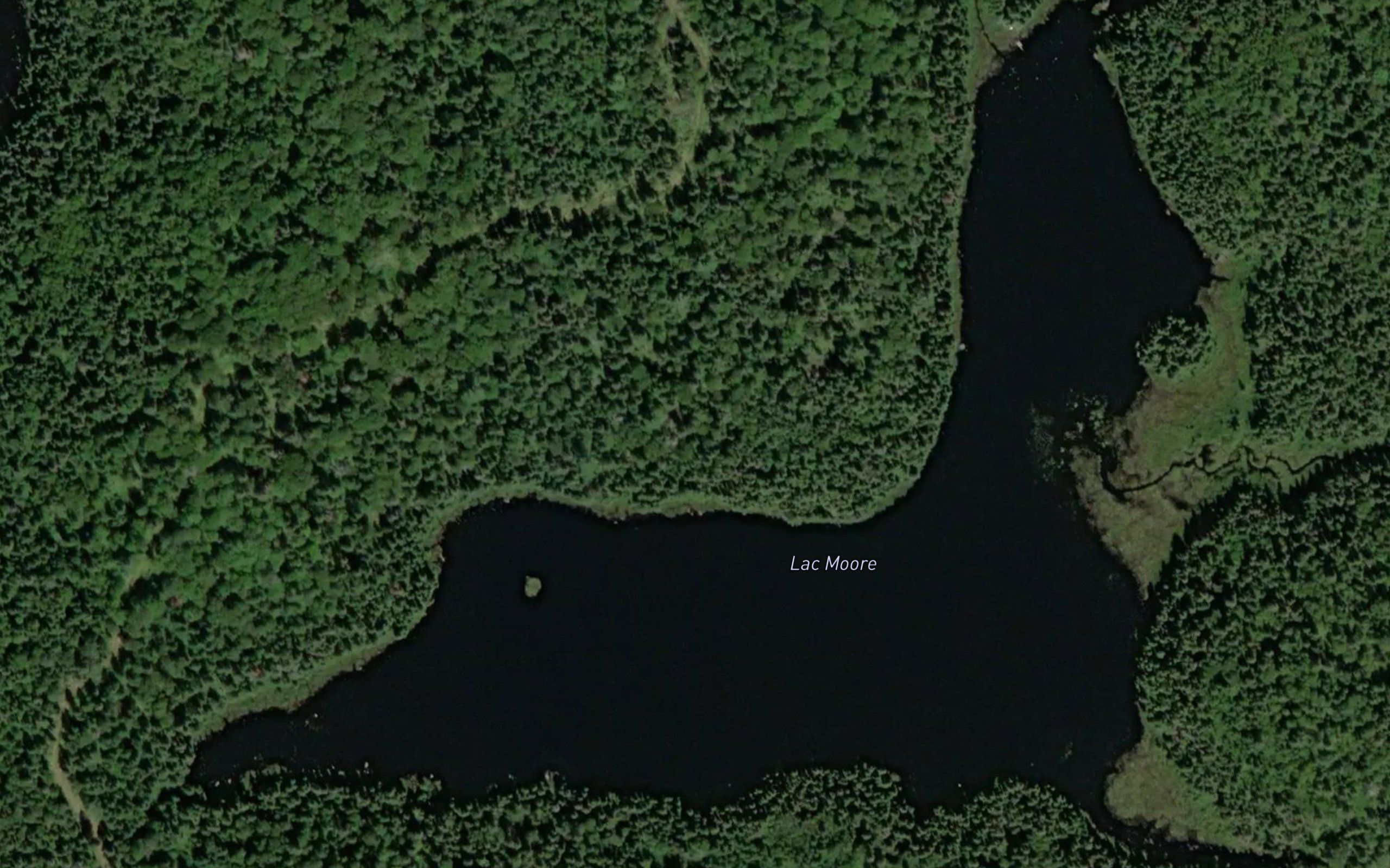 Lac Moore