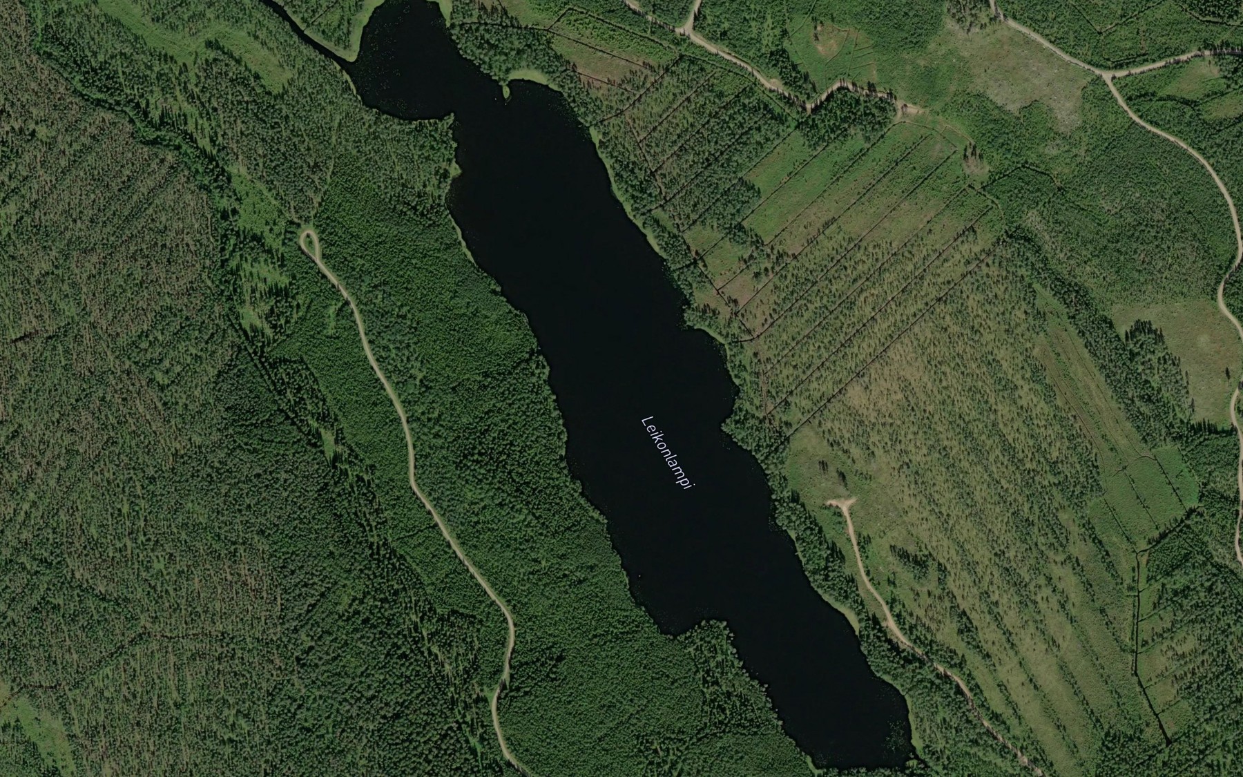 Satellite map of the Leikonlampi
