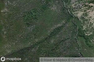 Juniper Creek