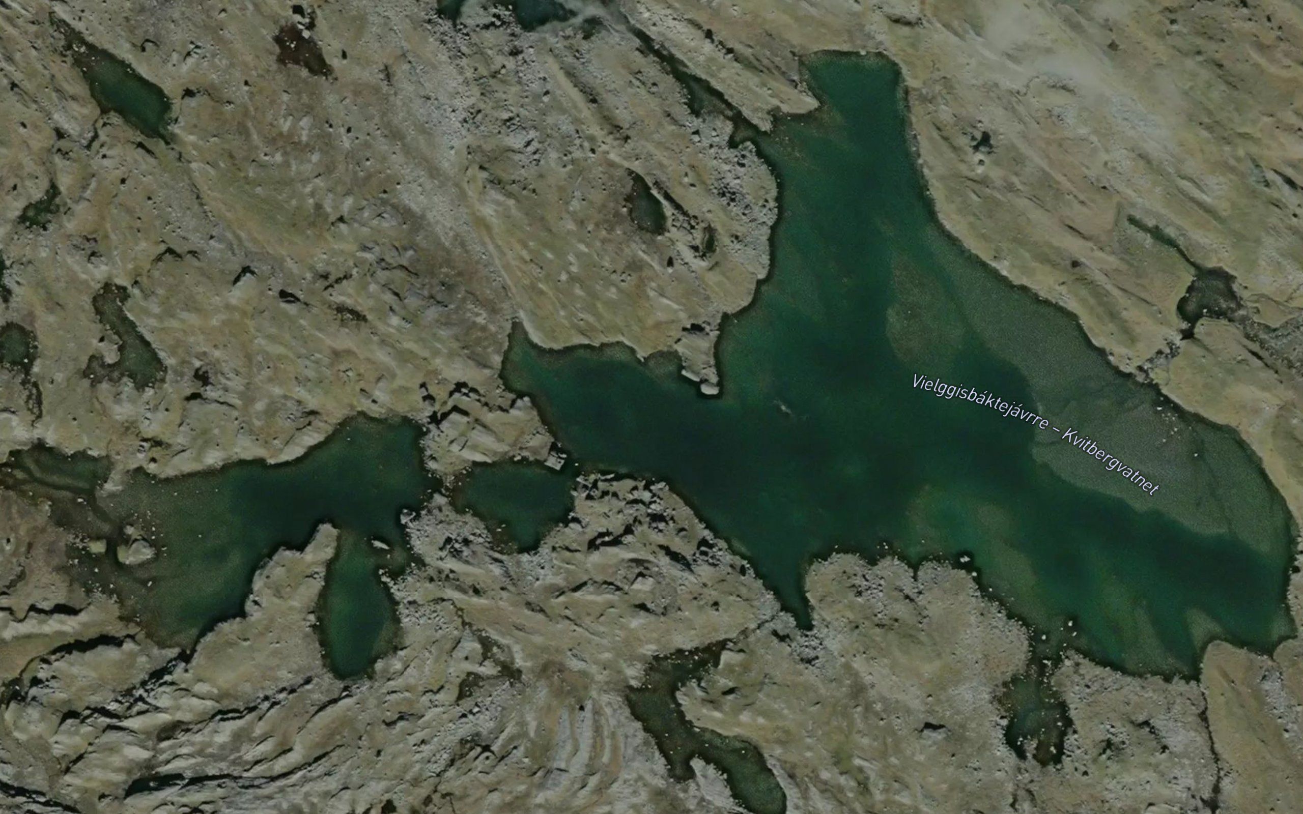 Vilgesbaktjavri