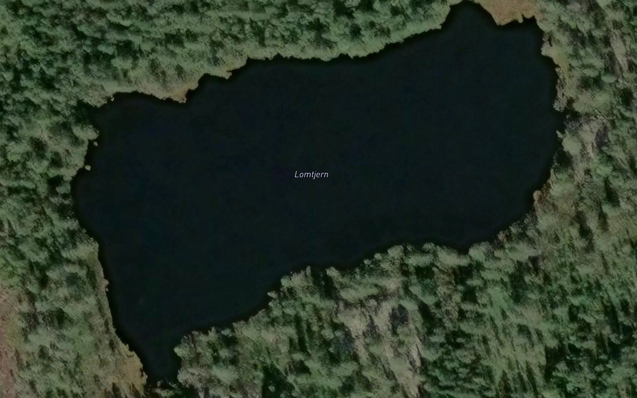 Lomtjern