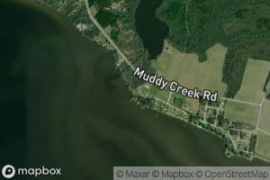 Muddy Creek