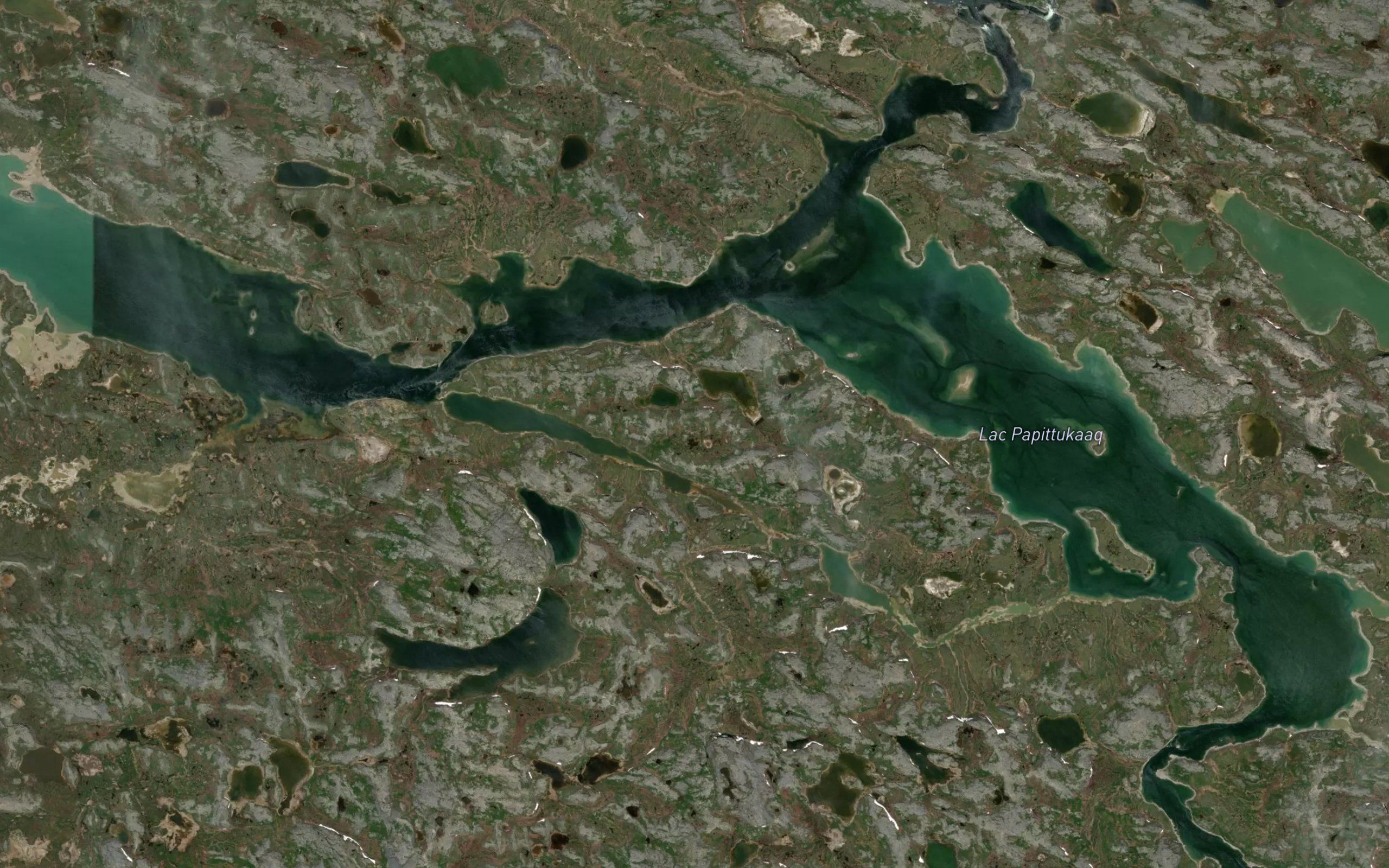 Lac Papittukaaq