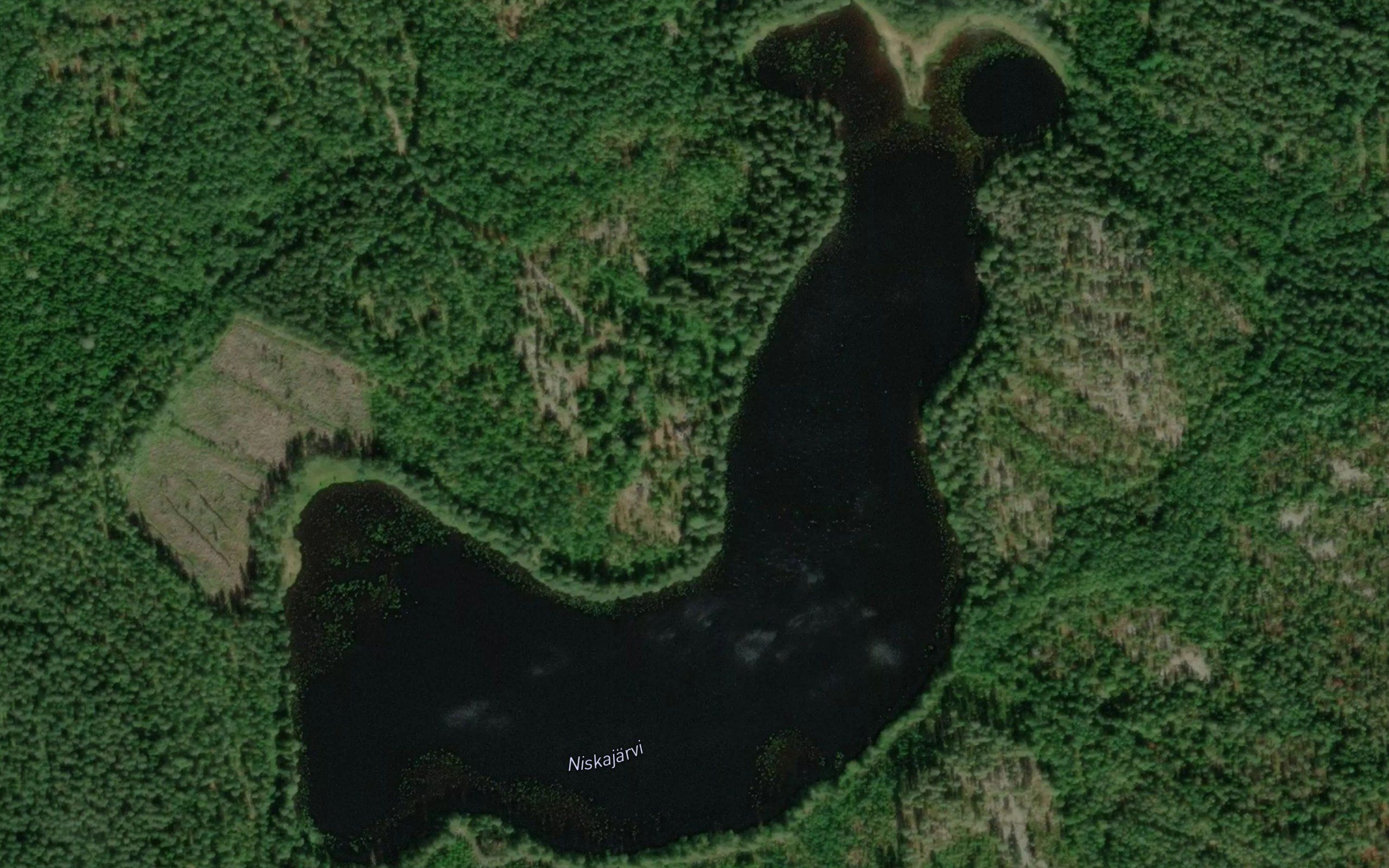 Niskajarvi