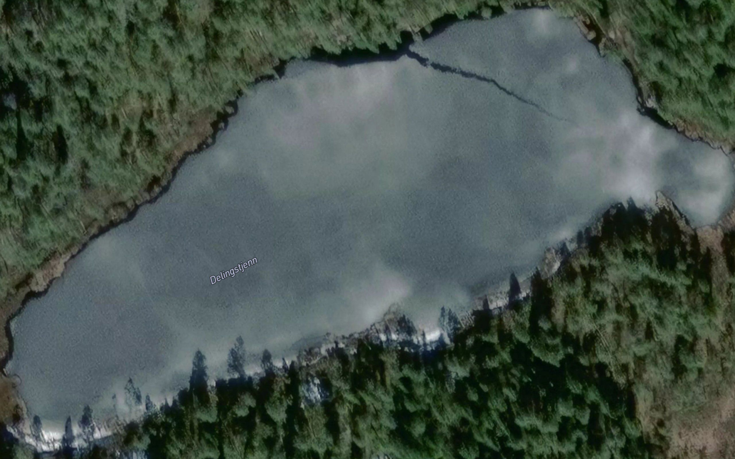 Delingstjern