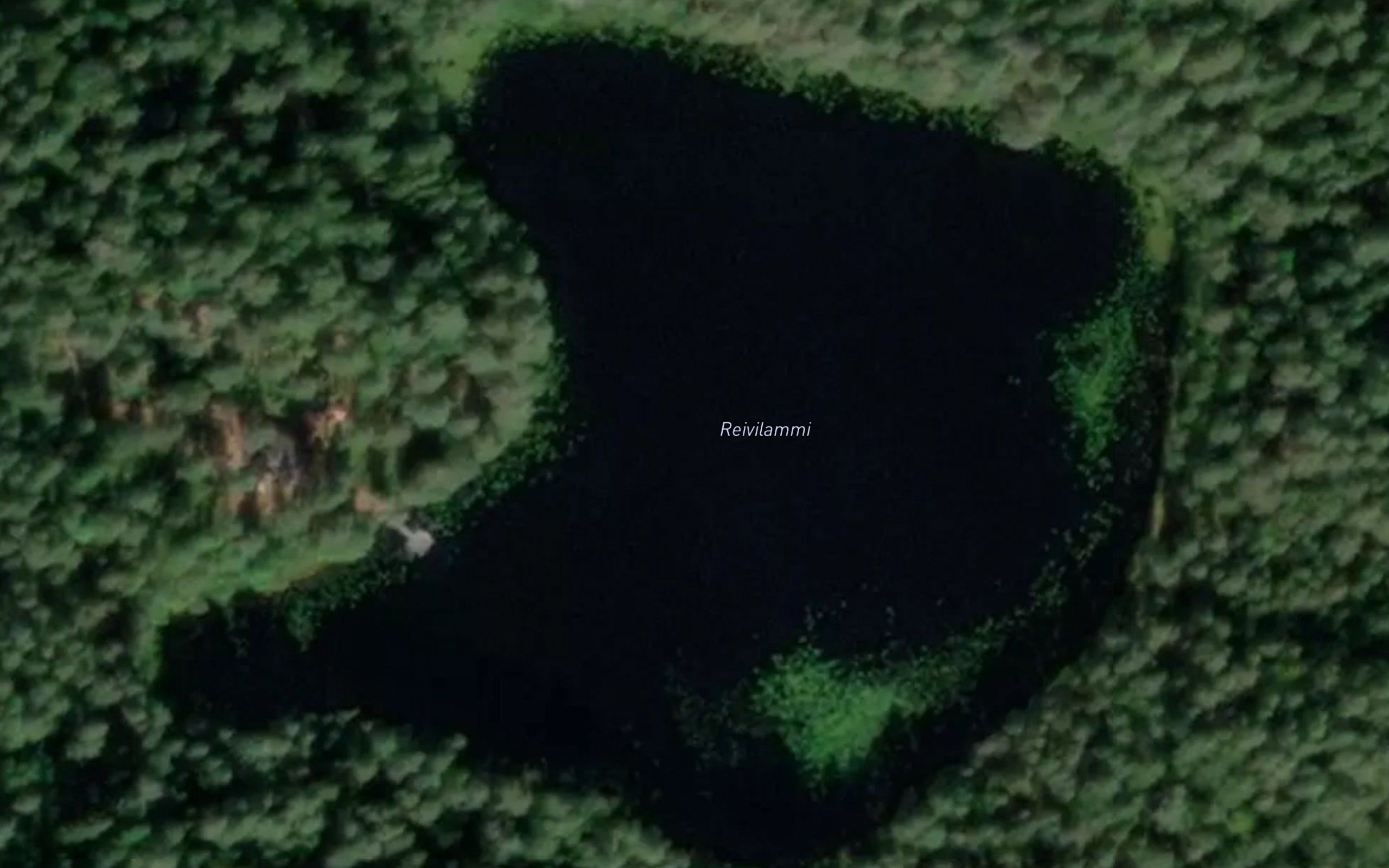 Reivilammi