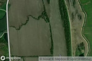 Bee Creek