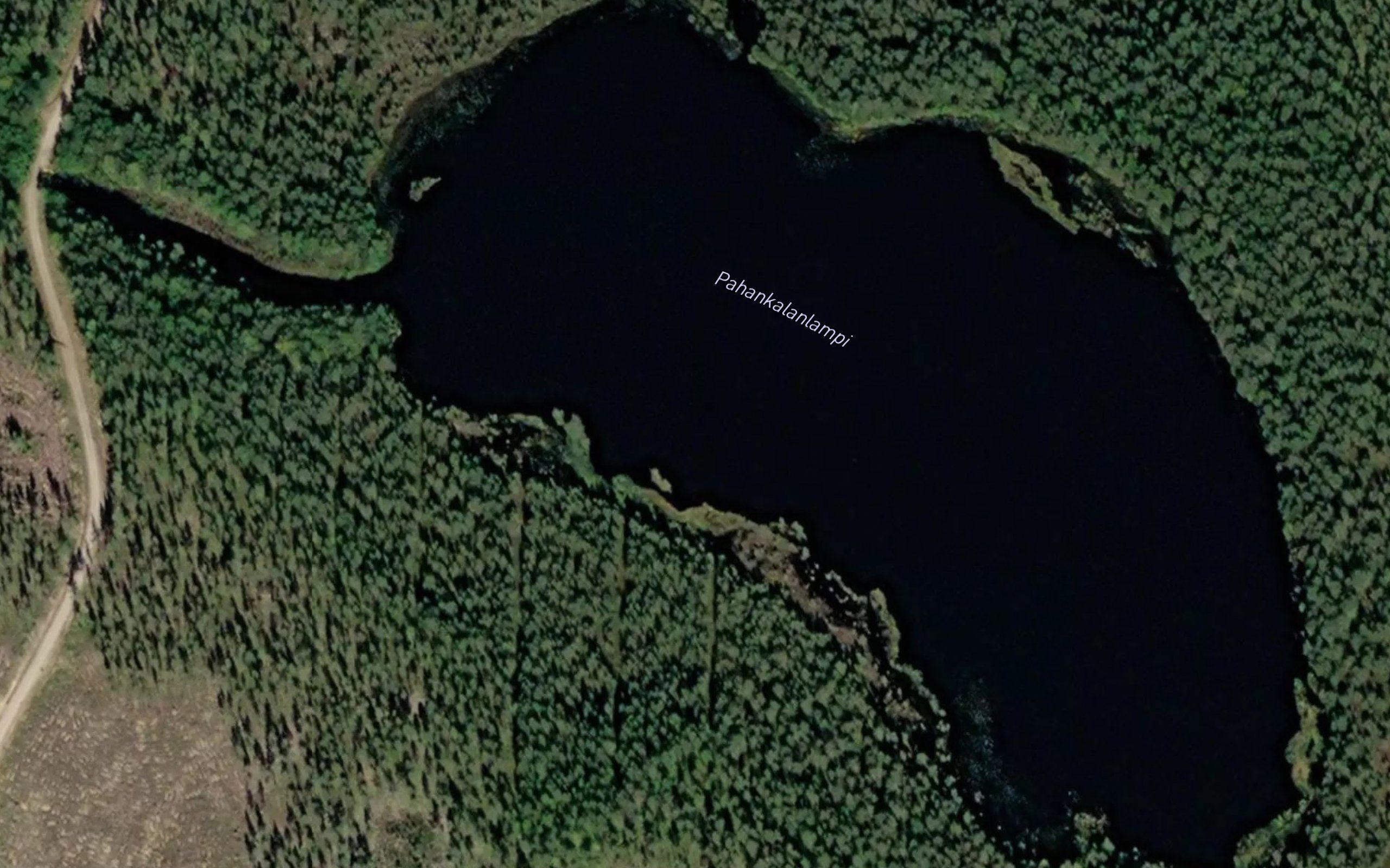 Pahankalanlampi