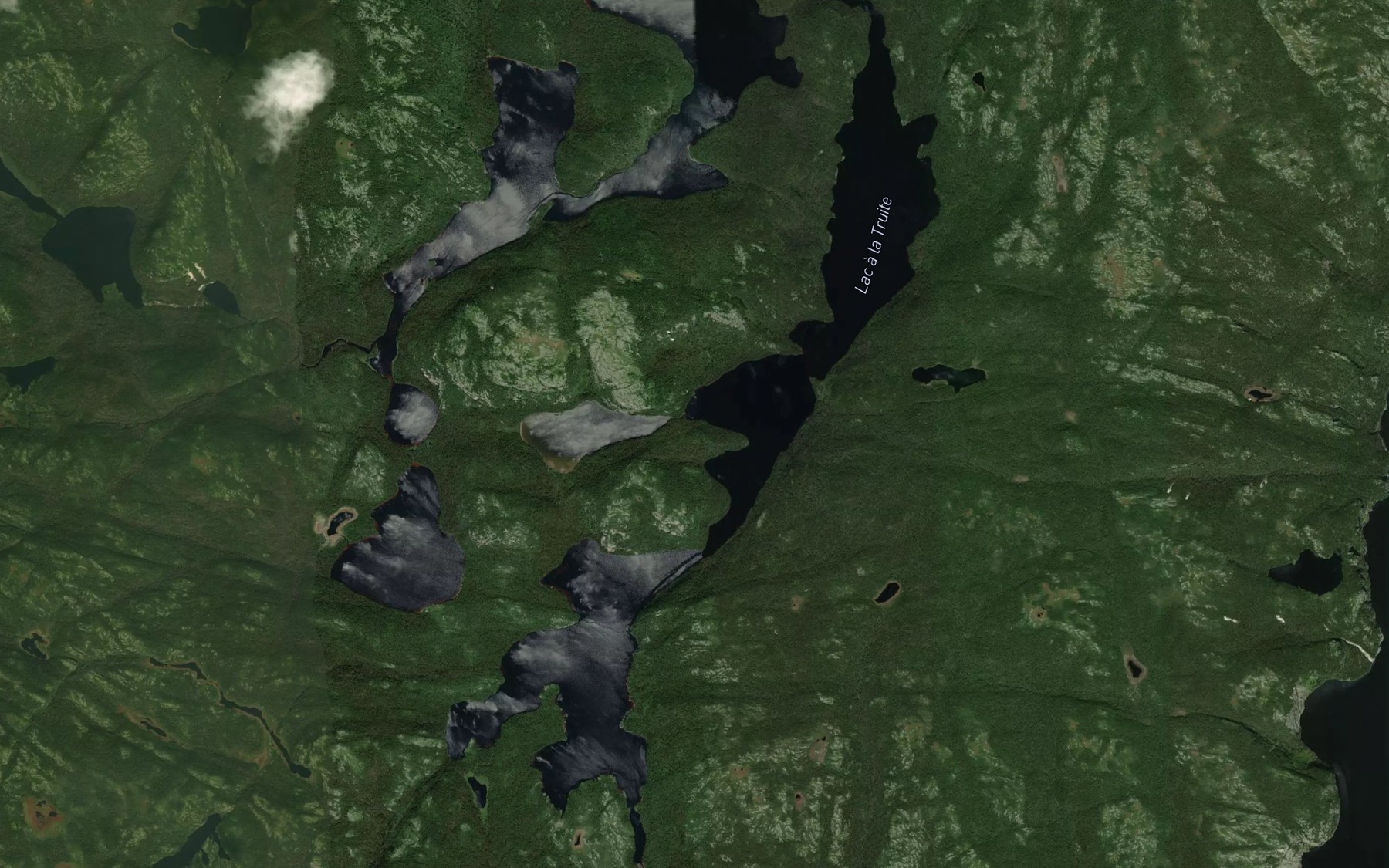 Satellite map of the Lac a la Truite