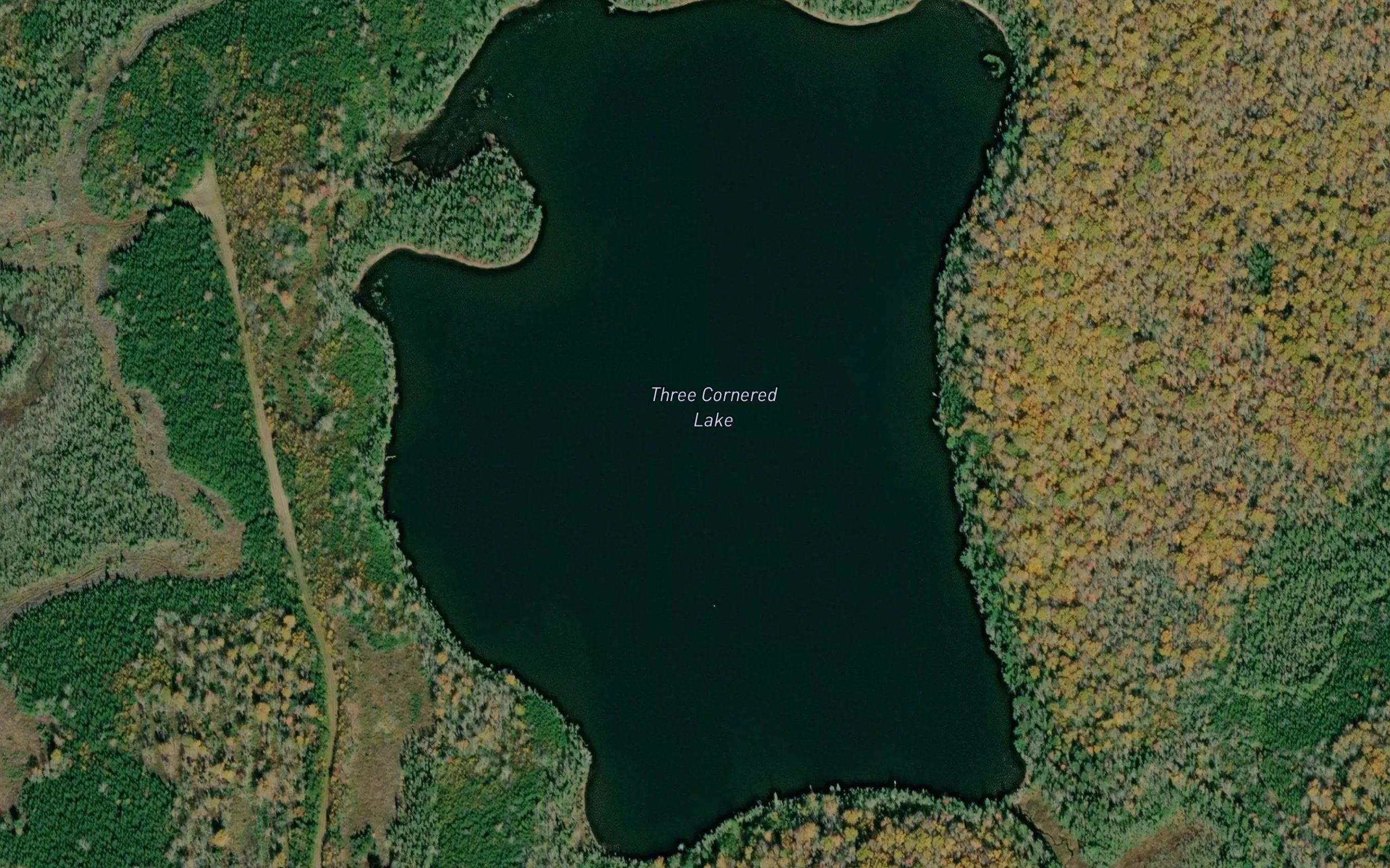 Three Cornered Lake