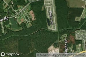 Thompson Swamp
