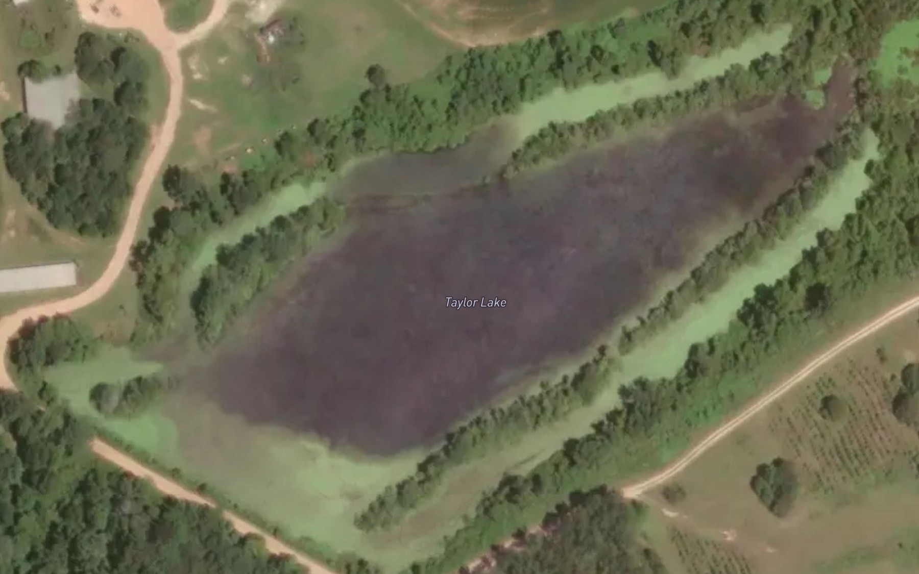 Satellite map of the Taylor Lake