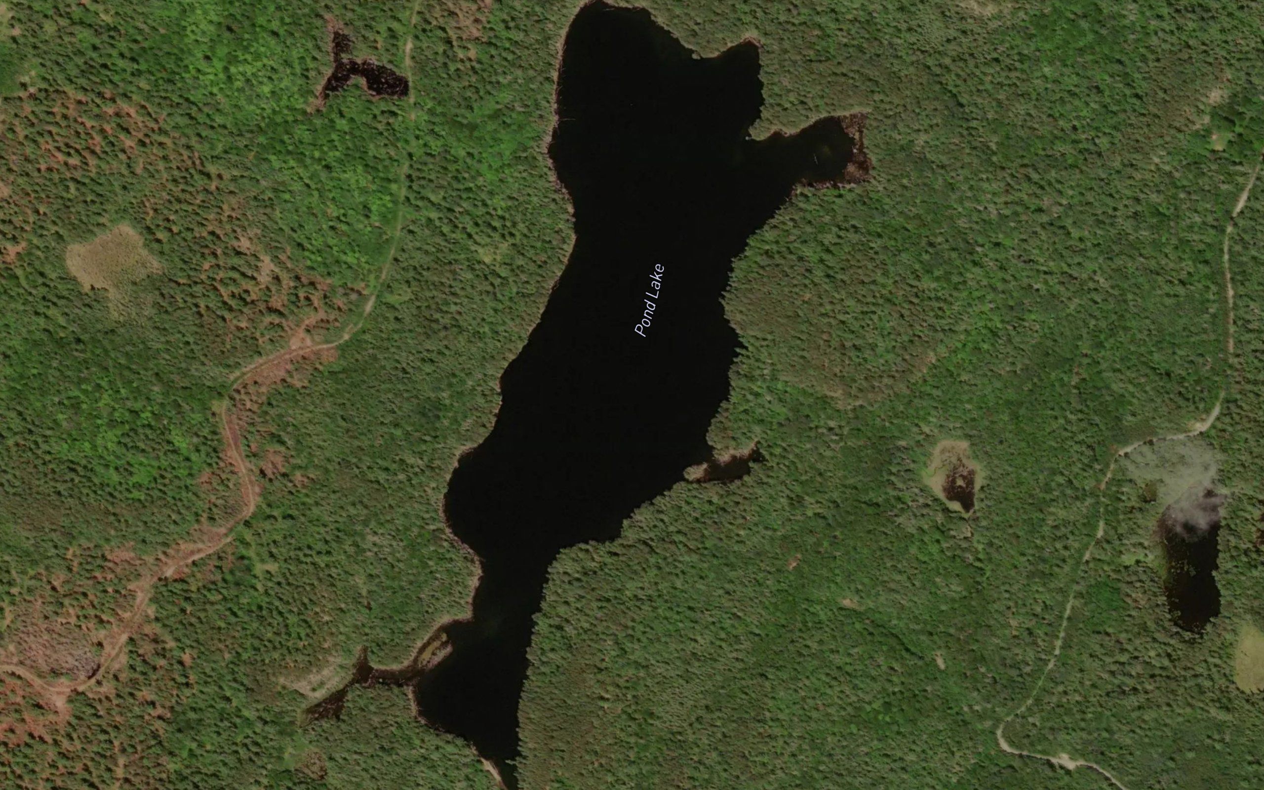 Pond Lake