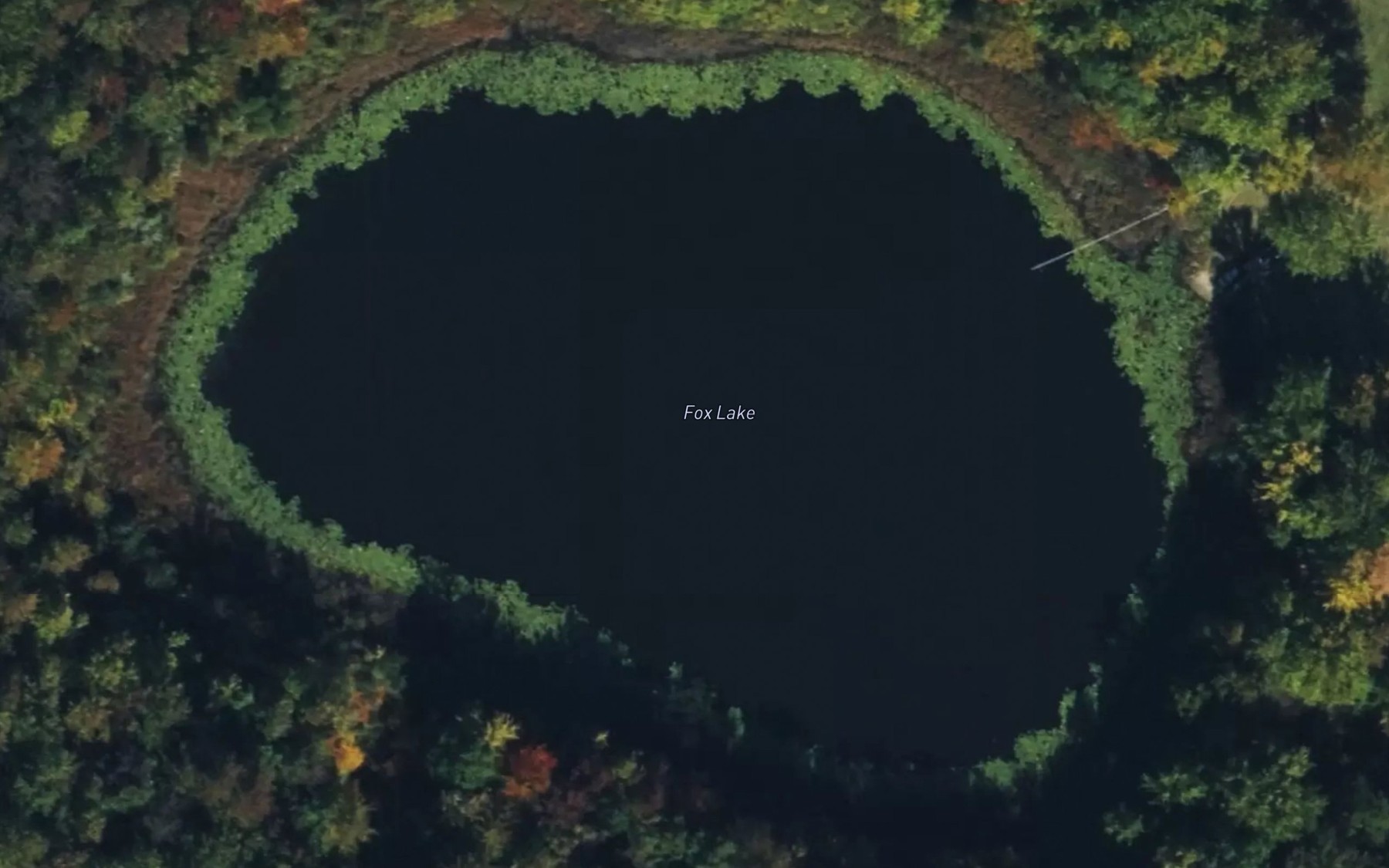 Satellite map of the Fox Lake