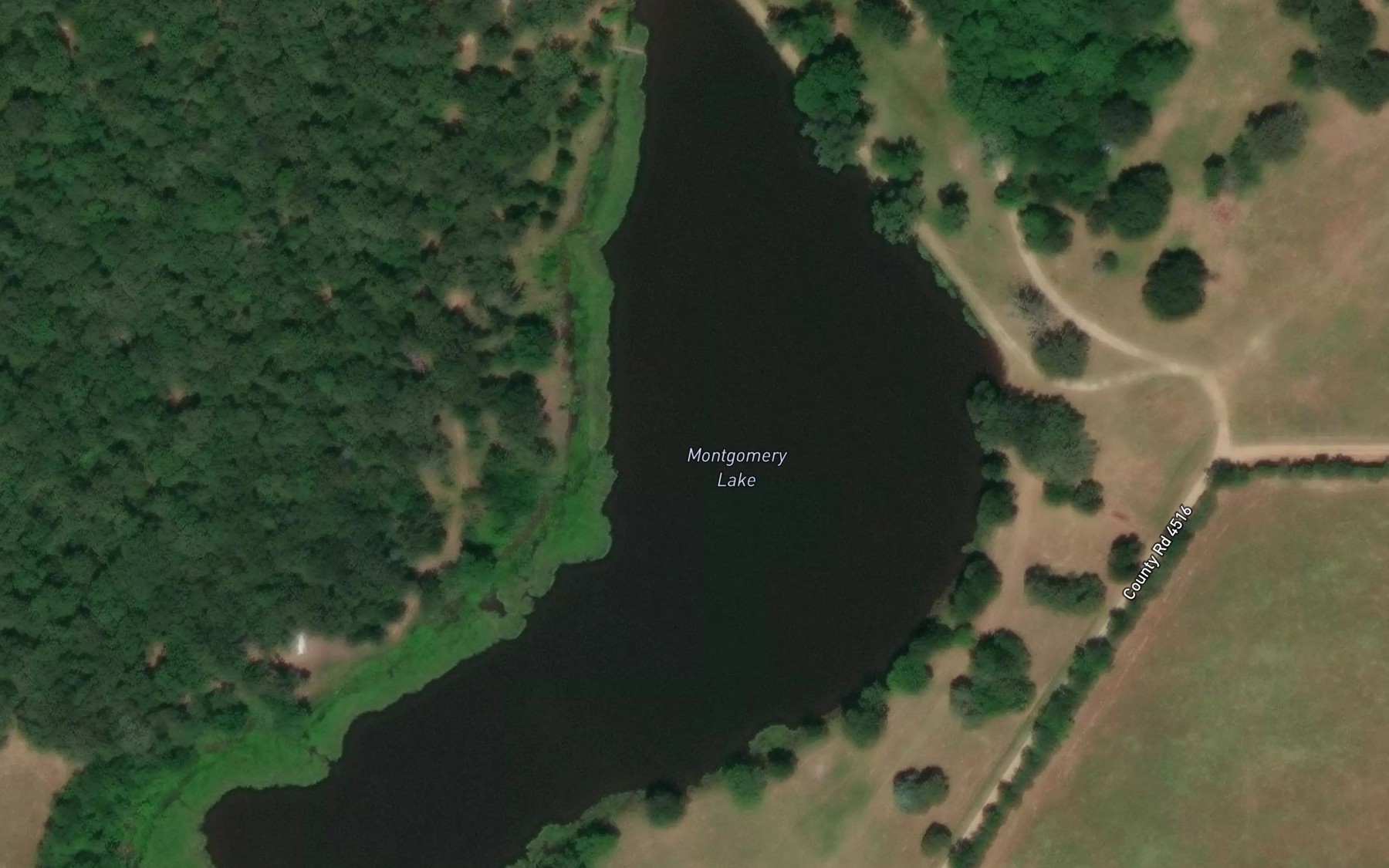 Satellite map of the Montgomery Lake