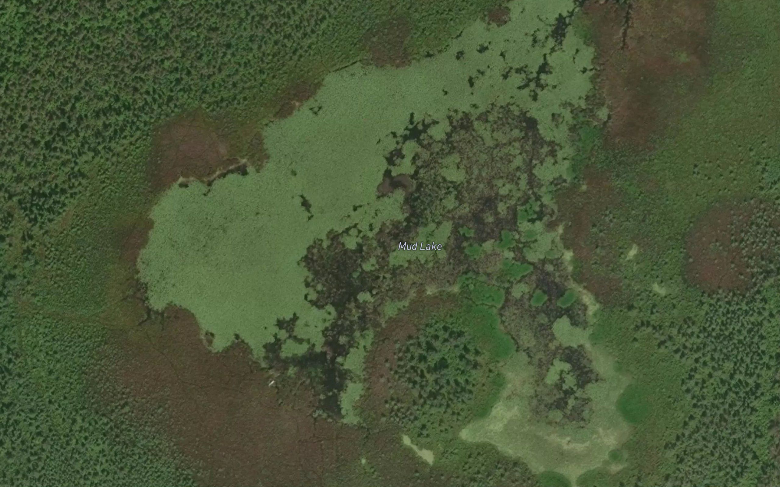 Mud Lake