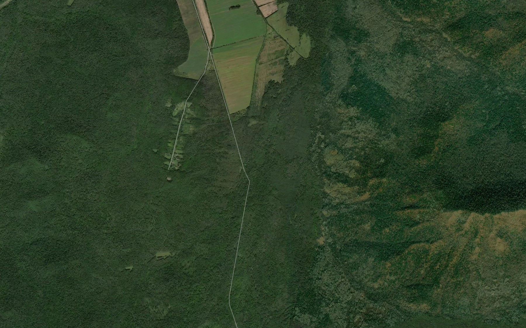 Satellite map of the Medvezh'ya