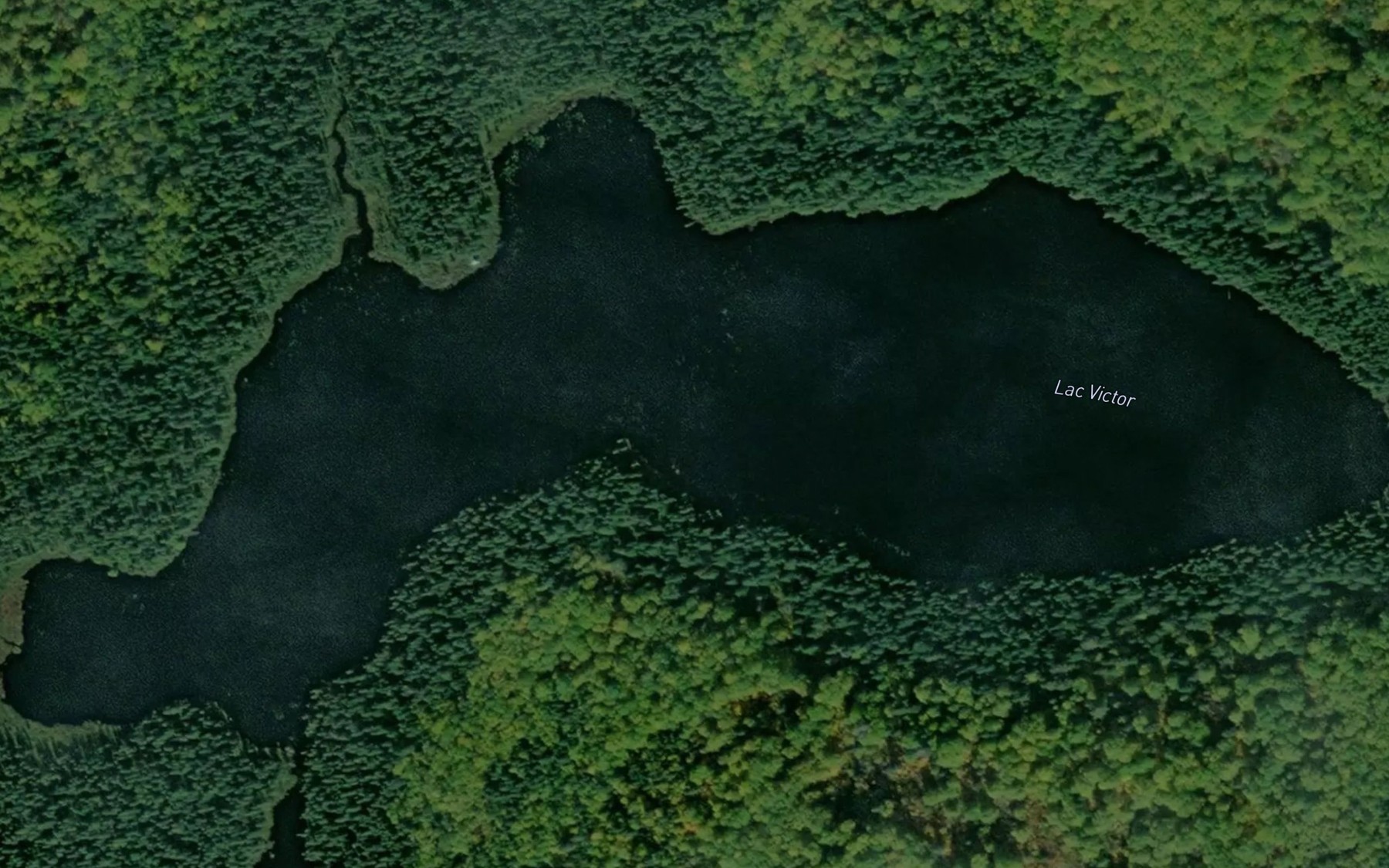 Satellite map of the Lac Victor