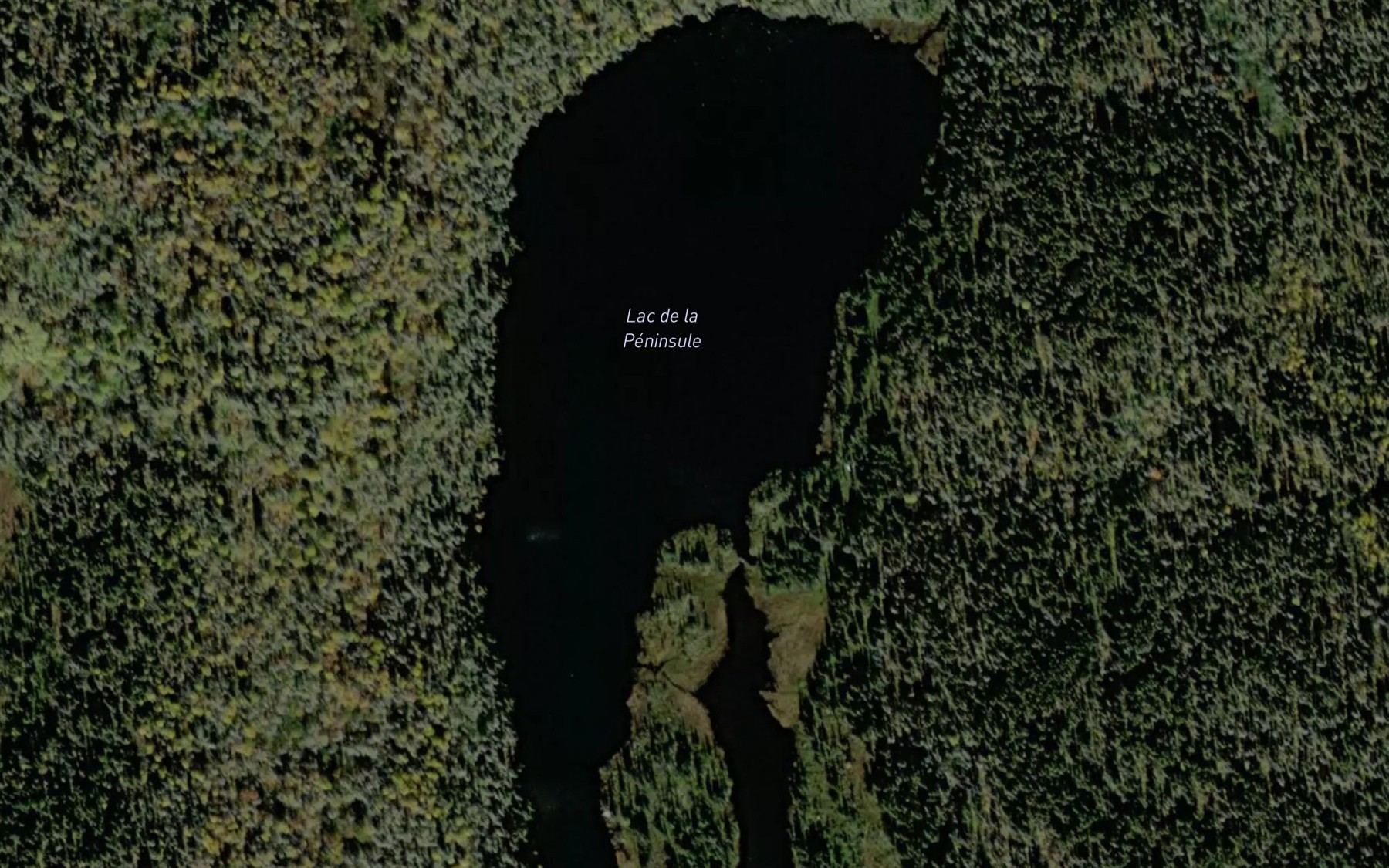 Satellite map of the Lac de la Peninsule
