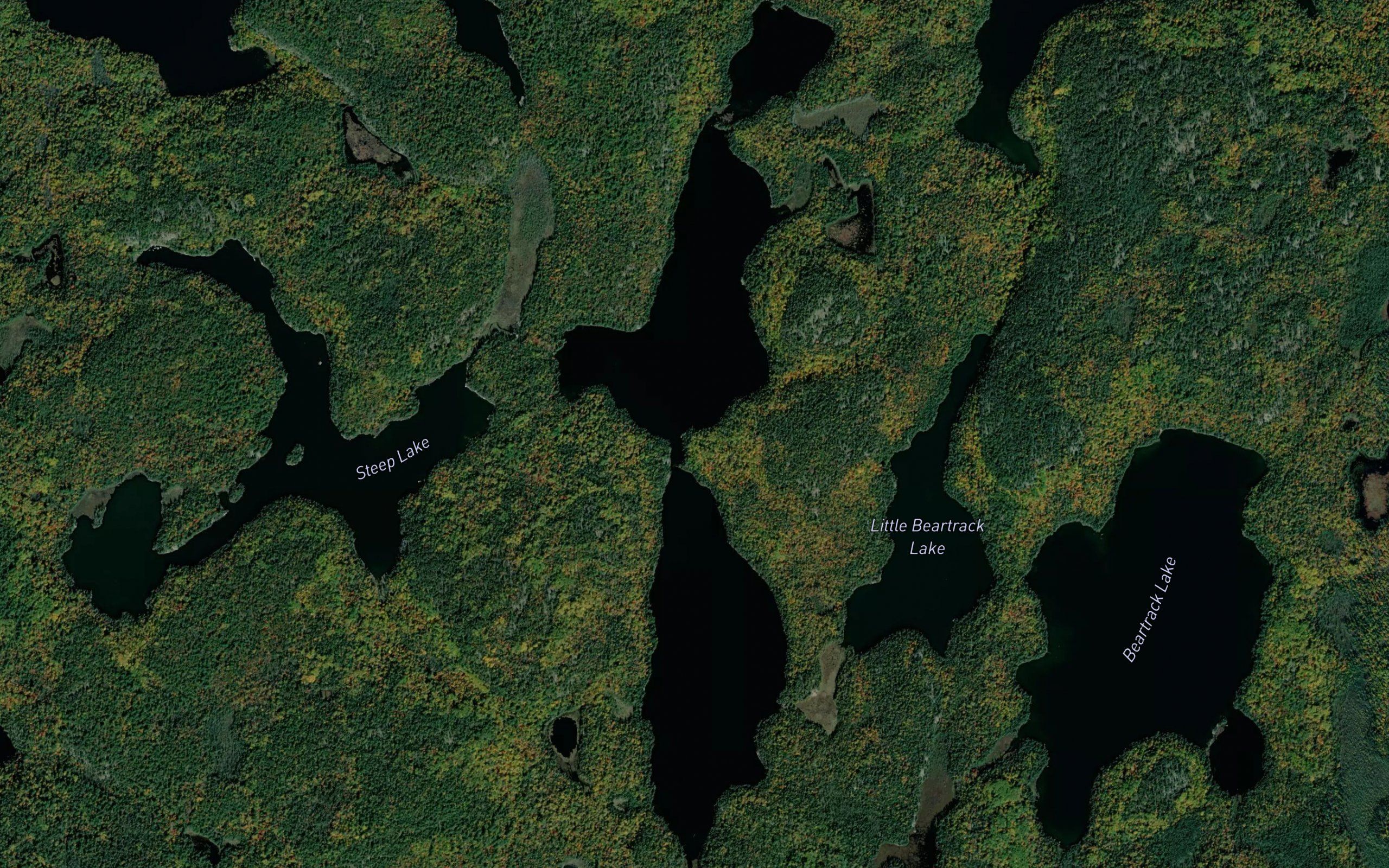 Eugene Lake