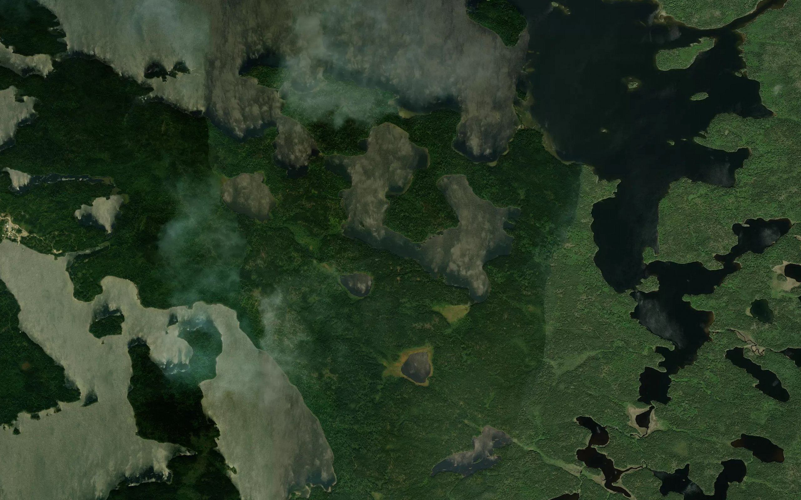Dole Lake