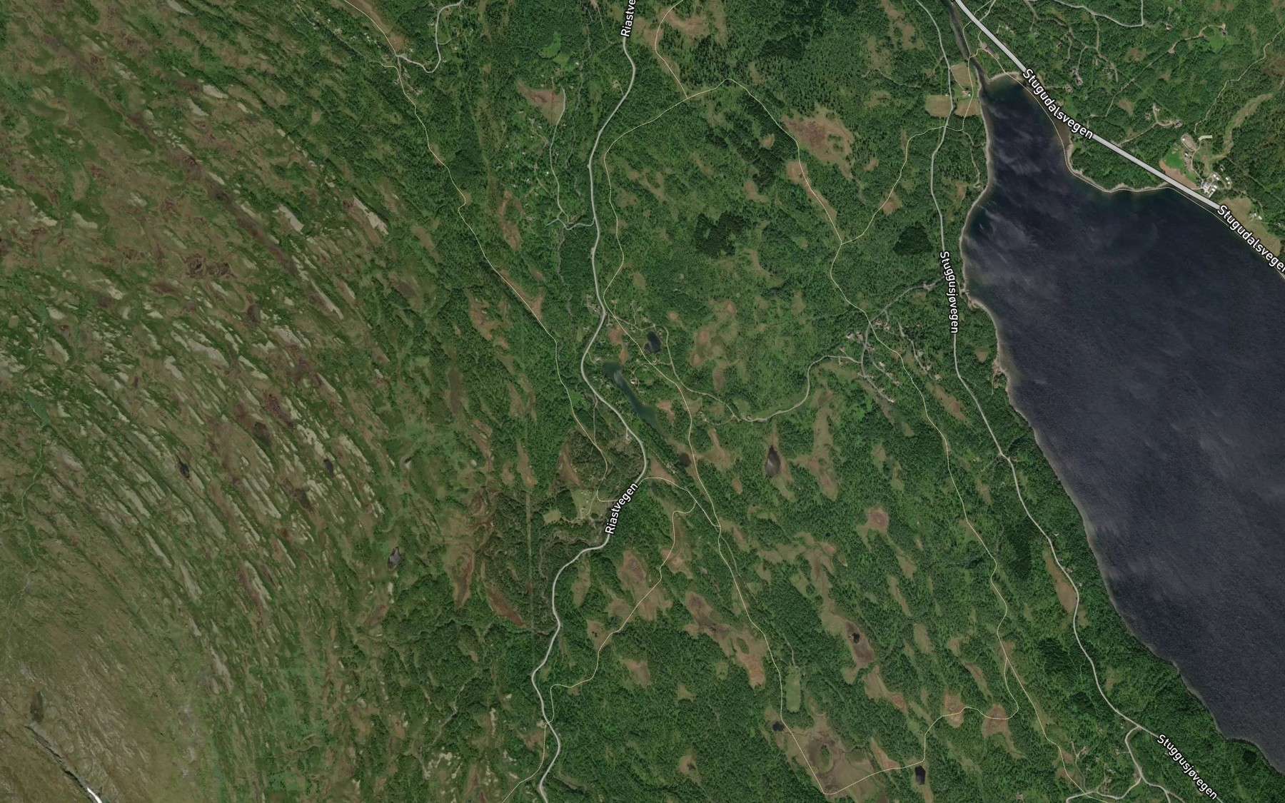 Satellite map of the Langtjorna