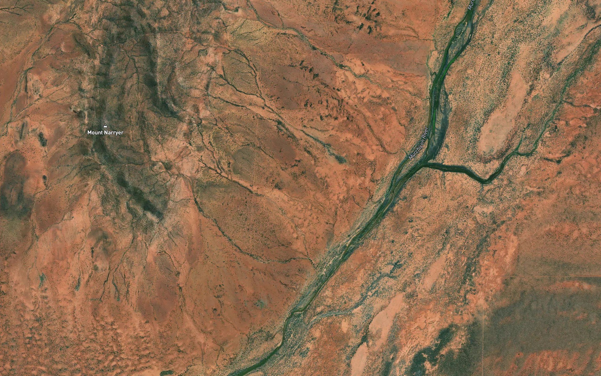 Indegardegarly