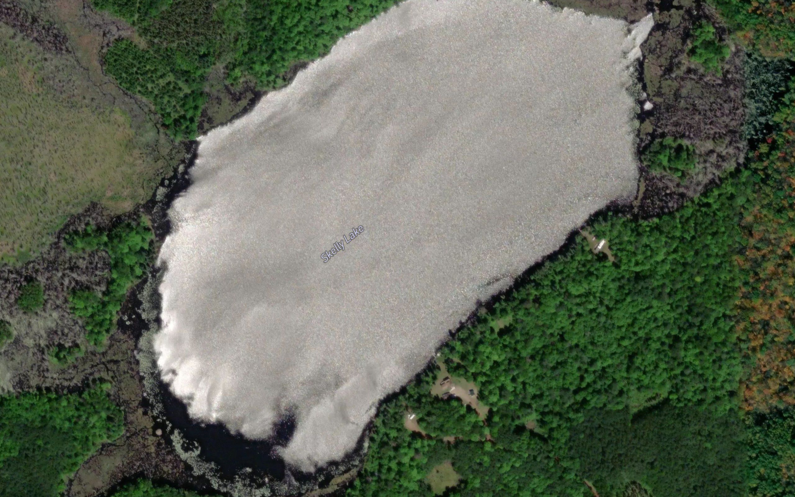 Skelly Lake