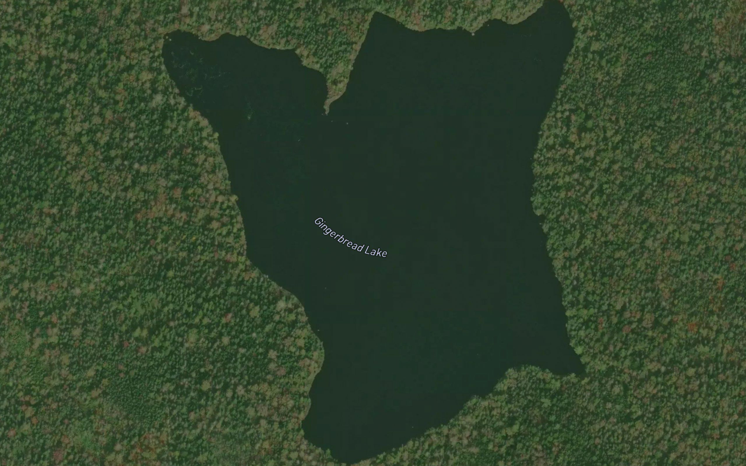 Gingerbread Lake